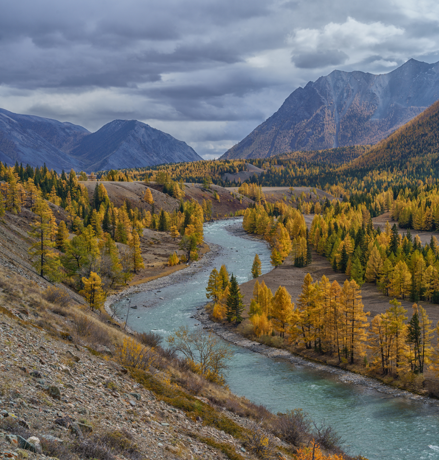Россия, Алтай, река, Чуя,природа, пейзаж, Лариса Дука