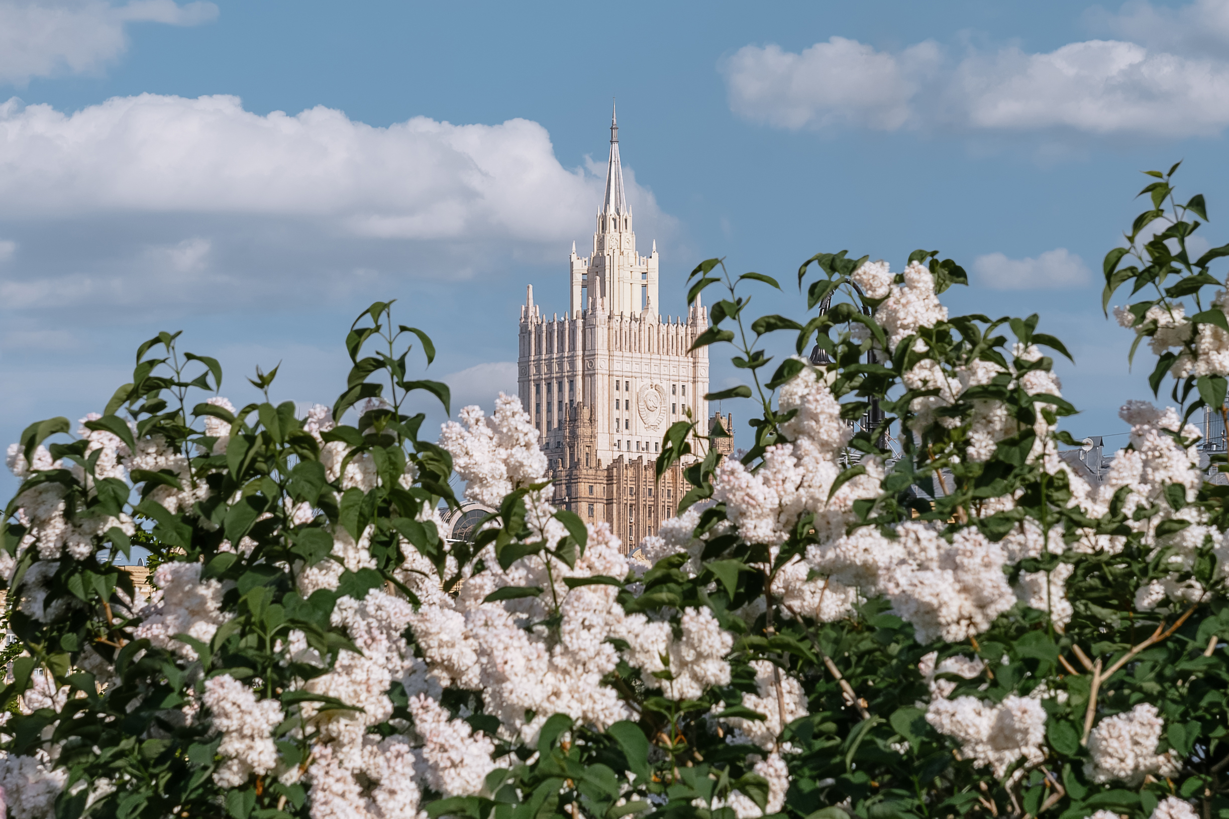 мид, москва, весна, сирень, moscow, spring, Мазурева Анастасия
