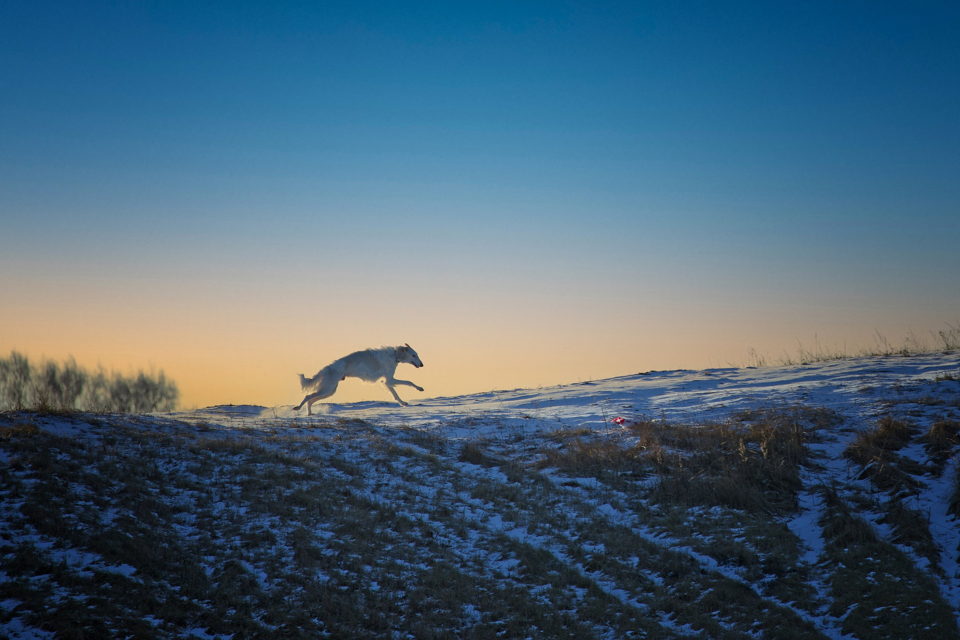 , Ирина Шестакова