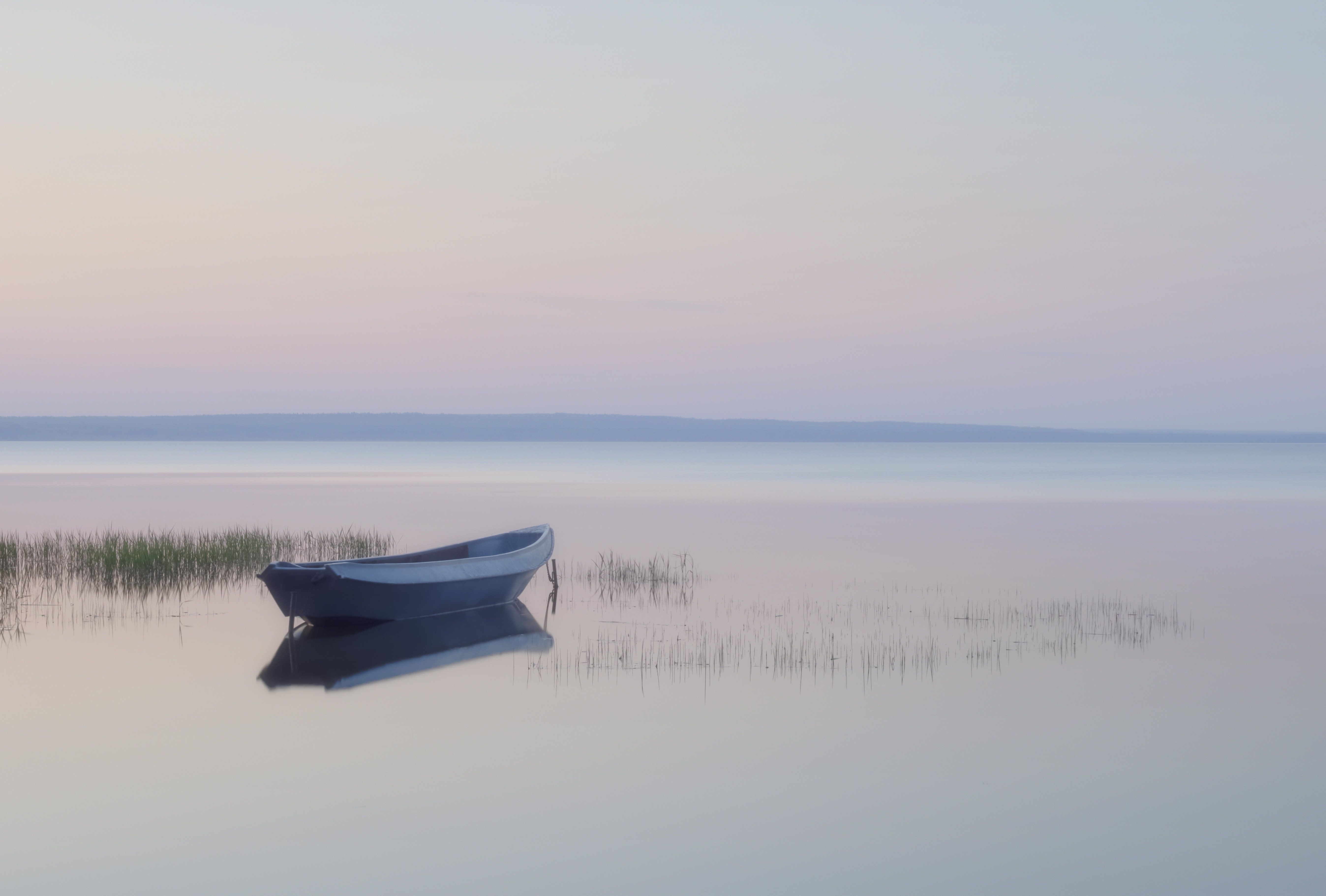 , Бонина Ольга