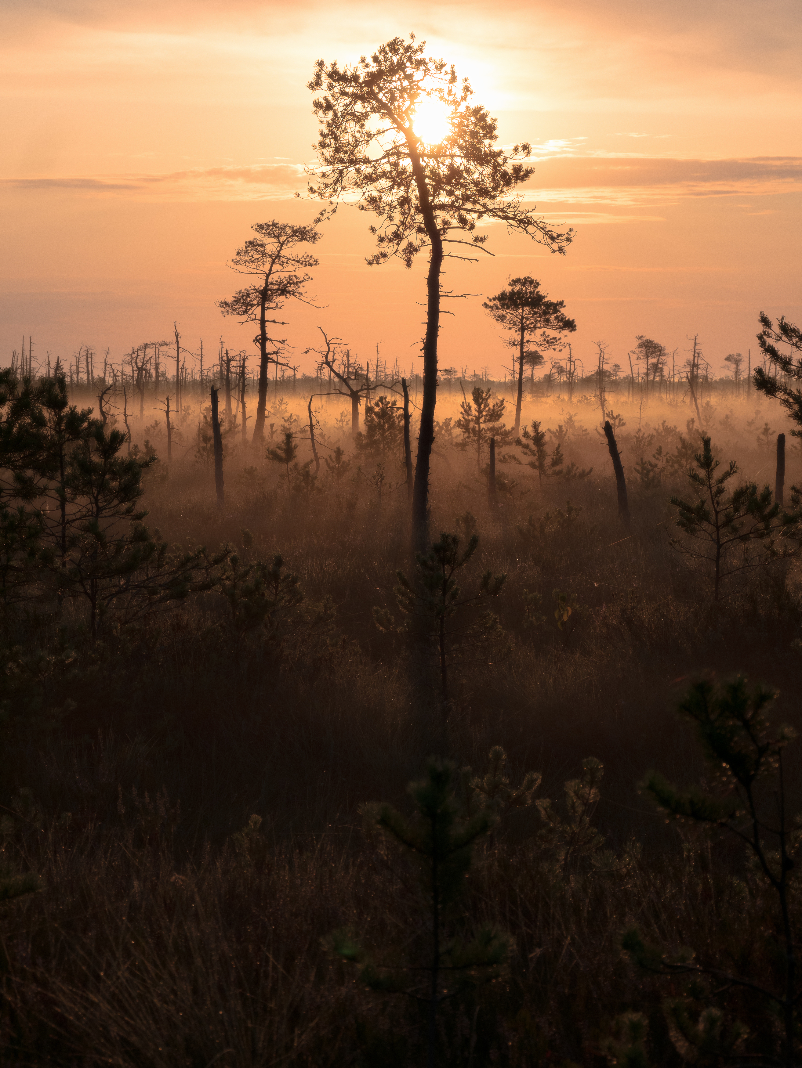 Пейзаж , Врубель Андрей