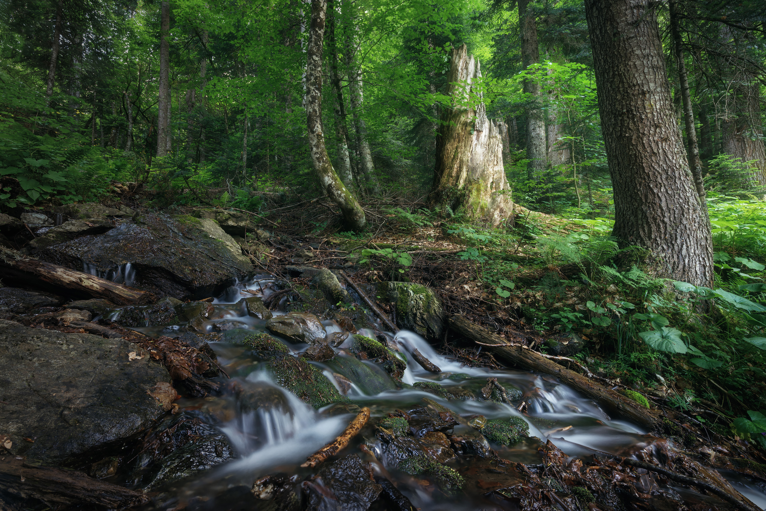 , Смольский Евгений
