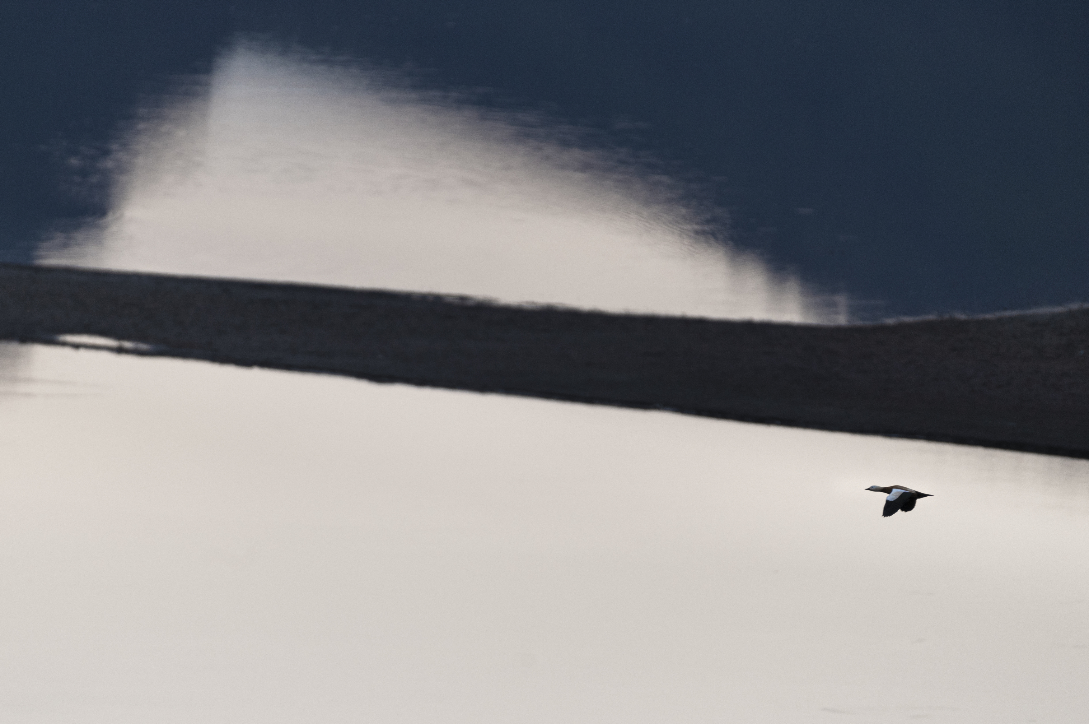 красноярское море, красноярский край, геометрия, Андреева Светлана