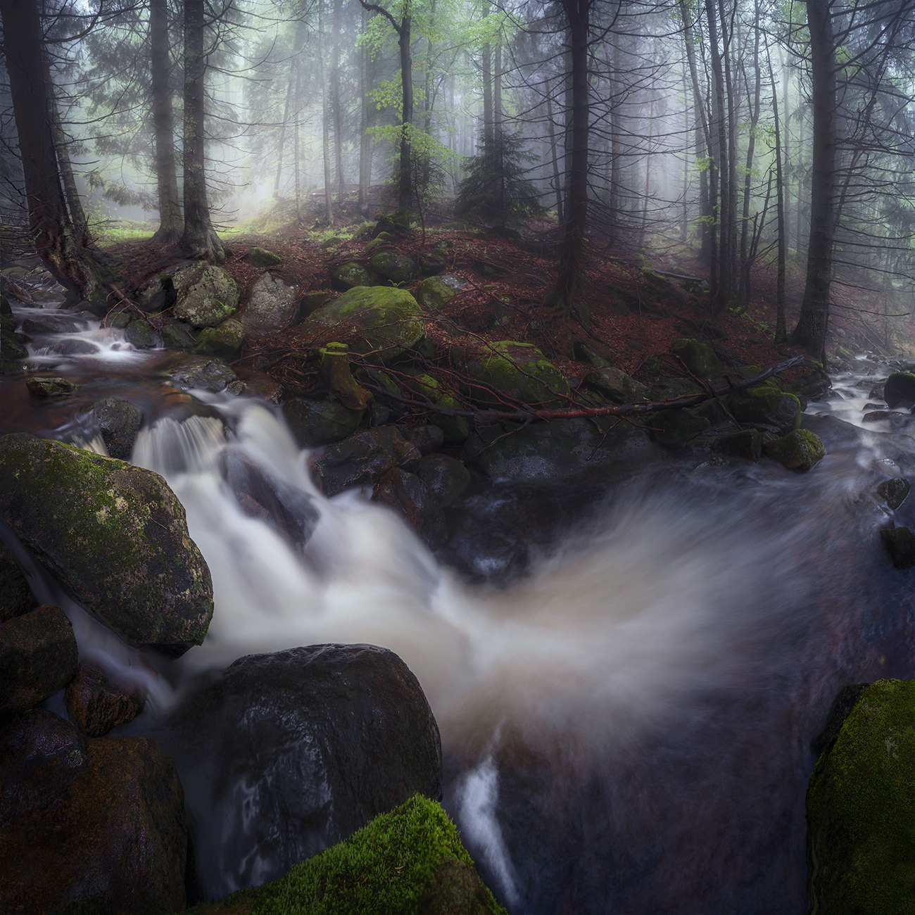 landscape, nature, scenery, forest, wood, mist, misty, fog, foggy, river, longexposure, mountain, rocks, vitosha, bulgaria, туман, лес, Александър Александров