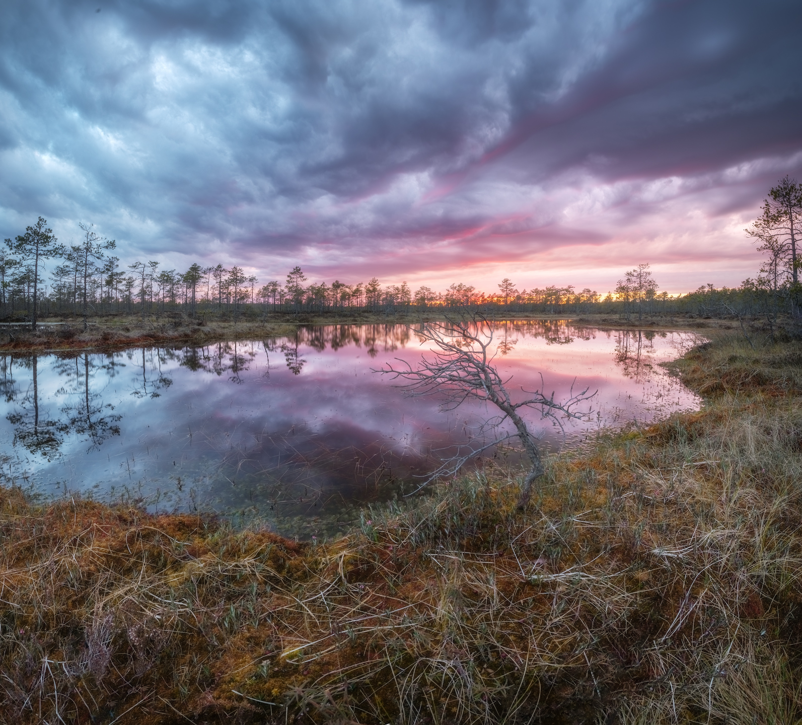 болото, закат, ленобласть, Марголин Алексей
