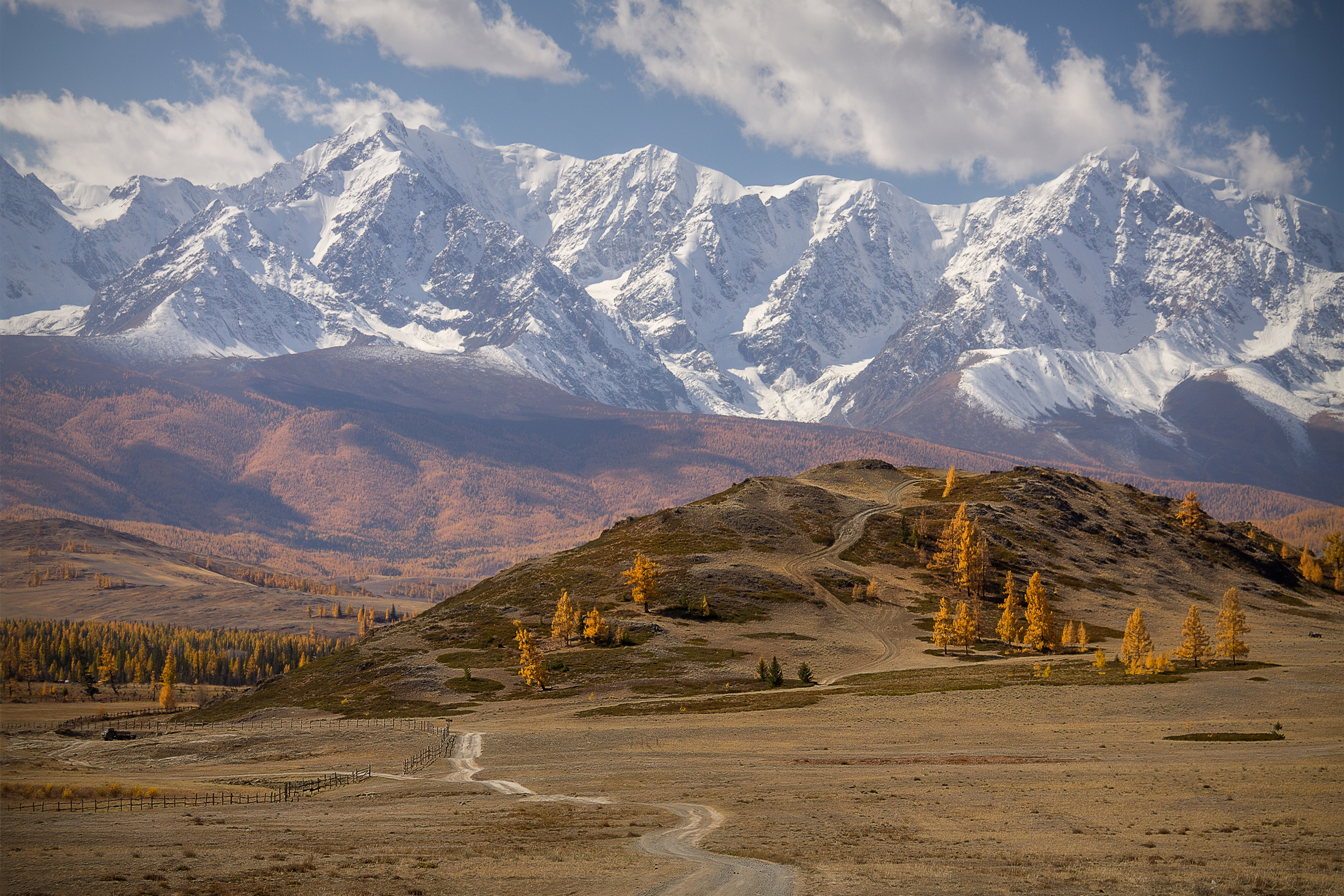 , Юдинских Марина