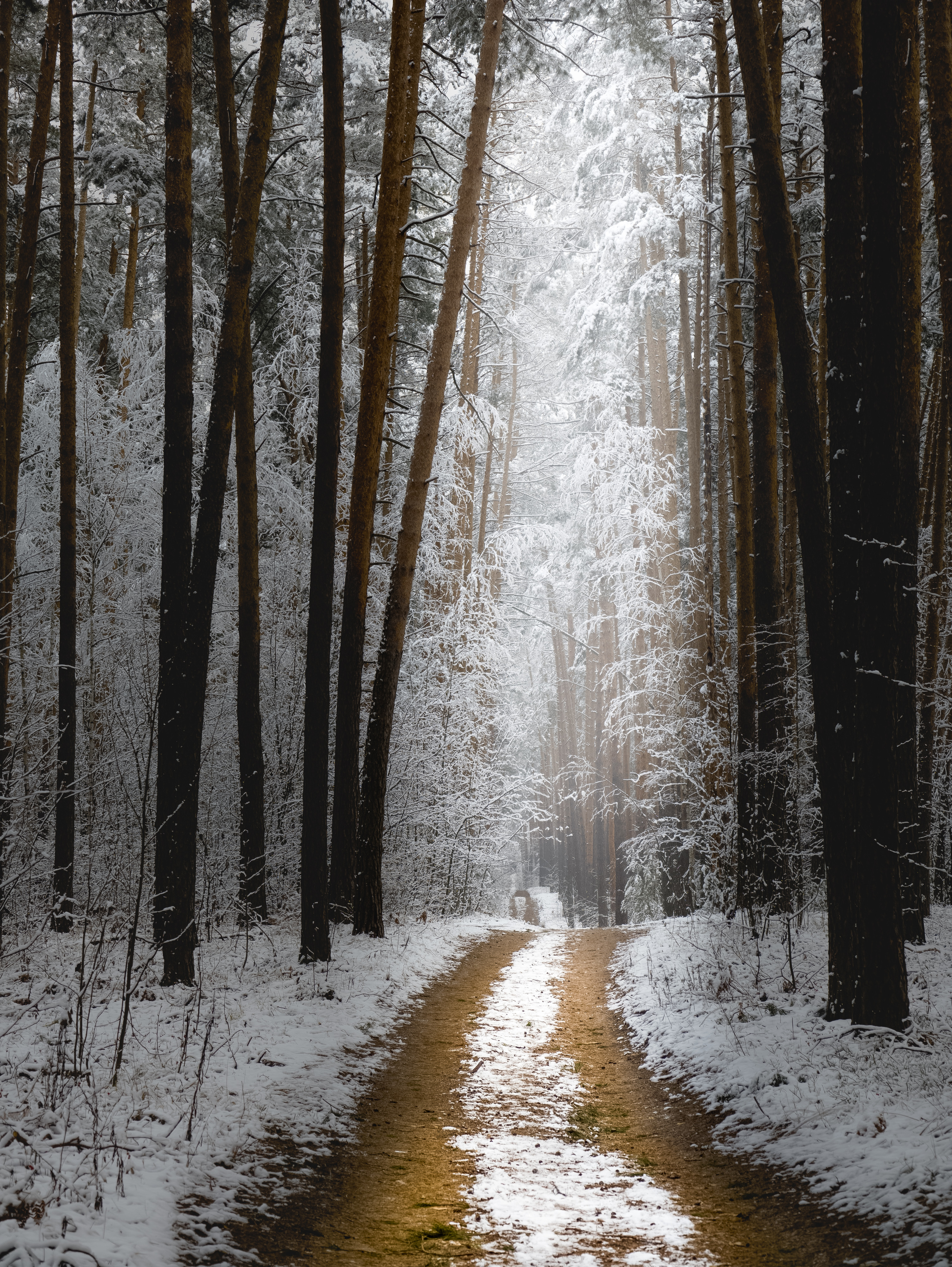 , Konstantin Martynov