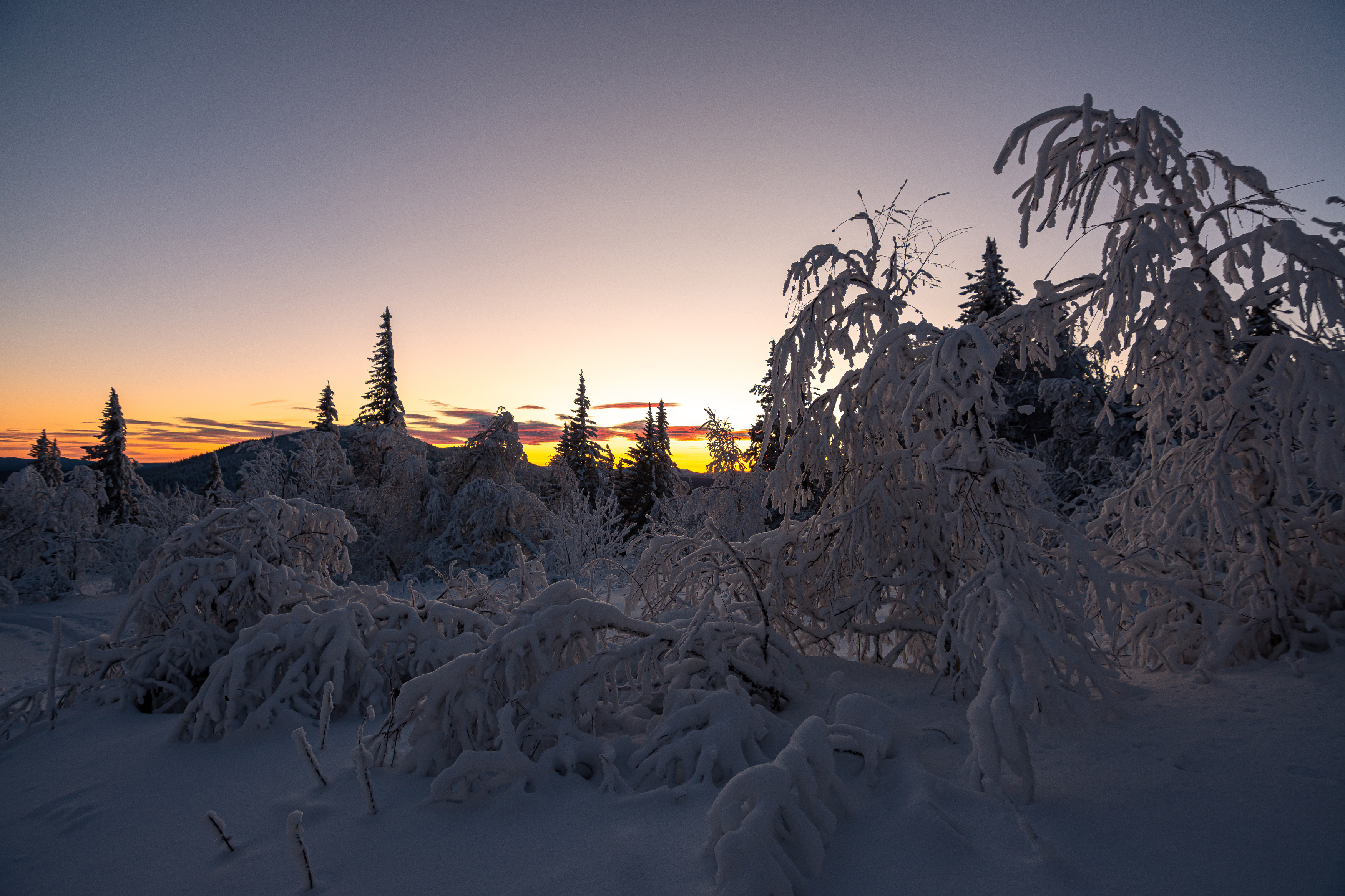 , Андрей Шарапов