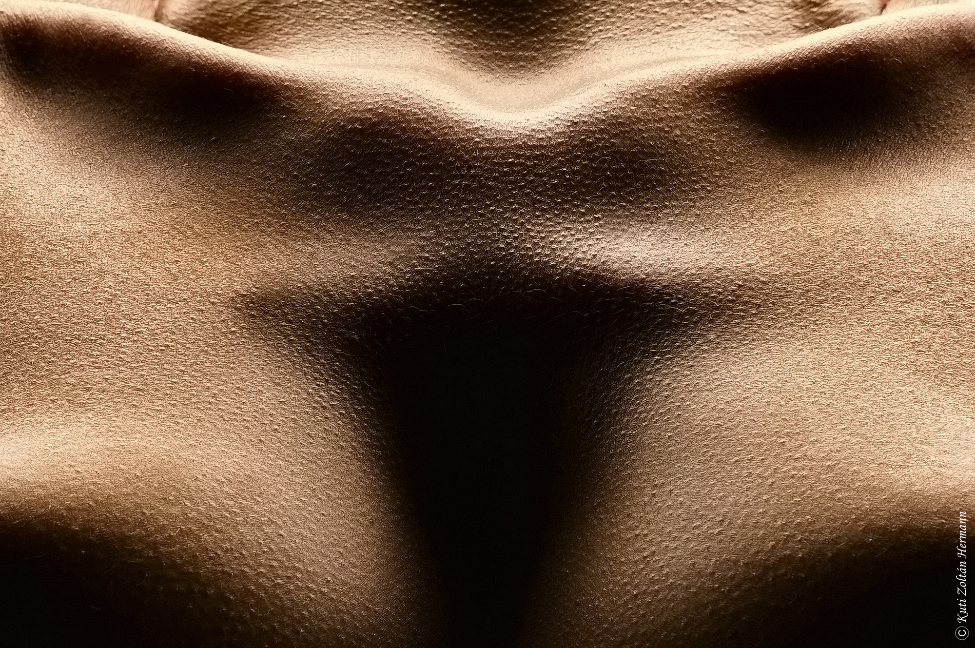 , Zoltan Hermann Kuti