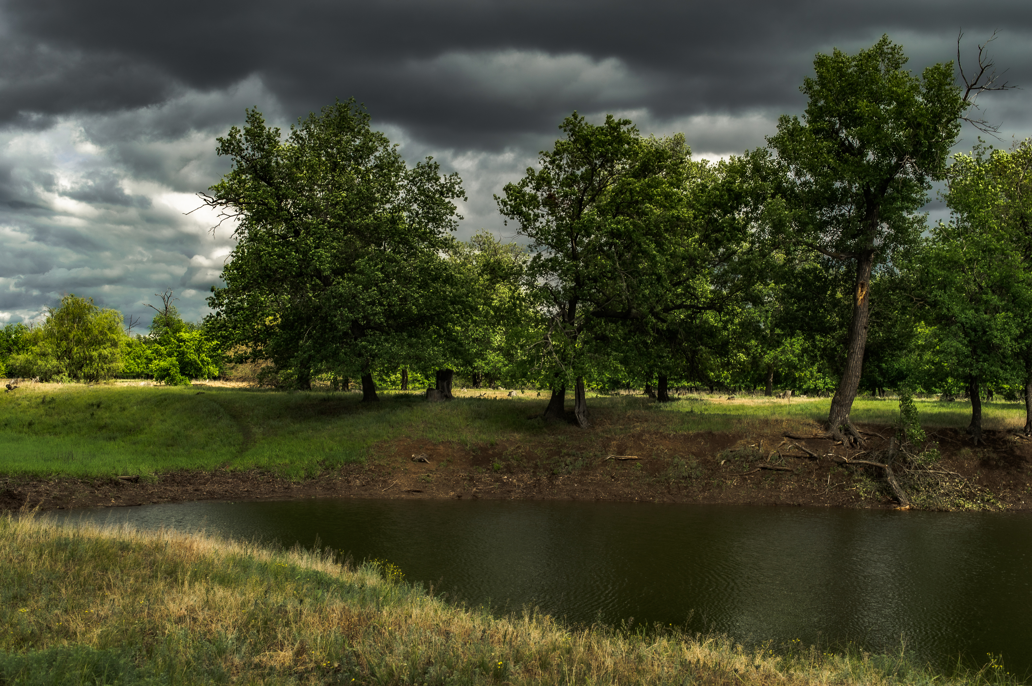природа,пейзаж,небо,облака, Vasilev Roman