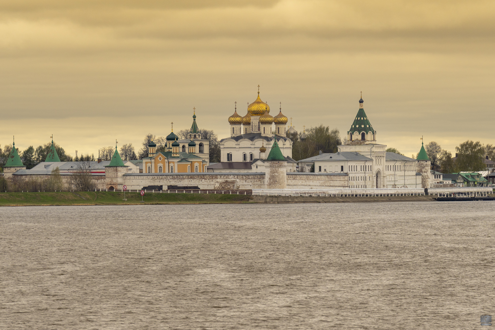 кострома, Ковалев Дмитрий