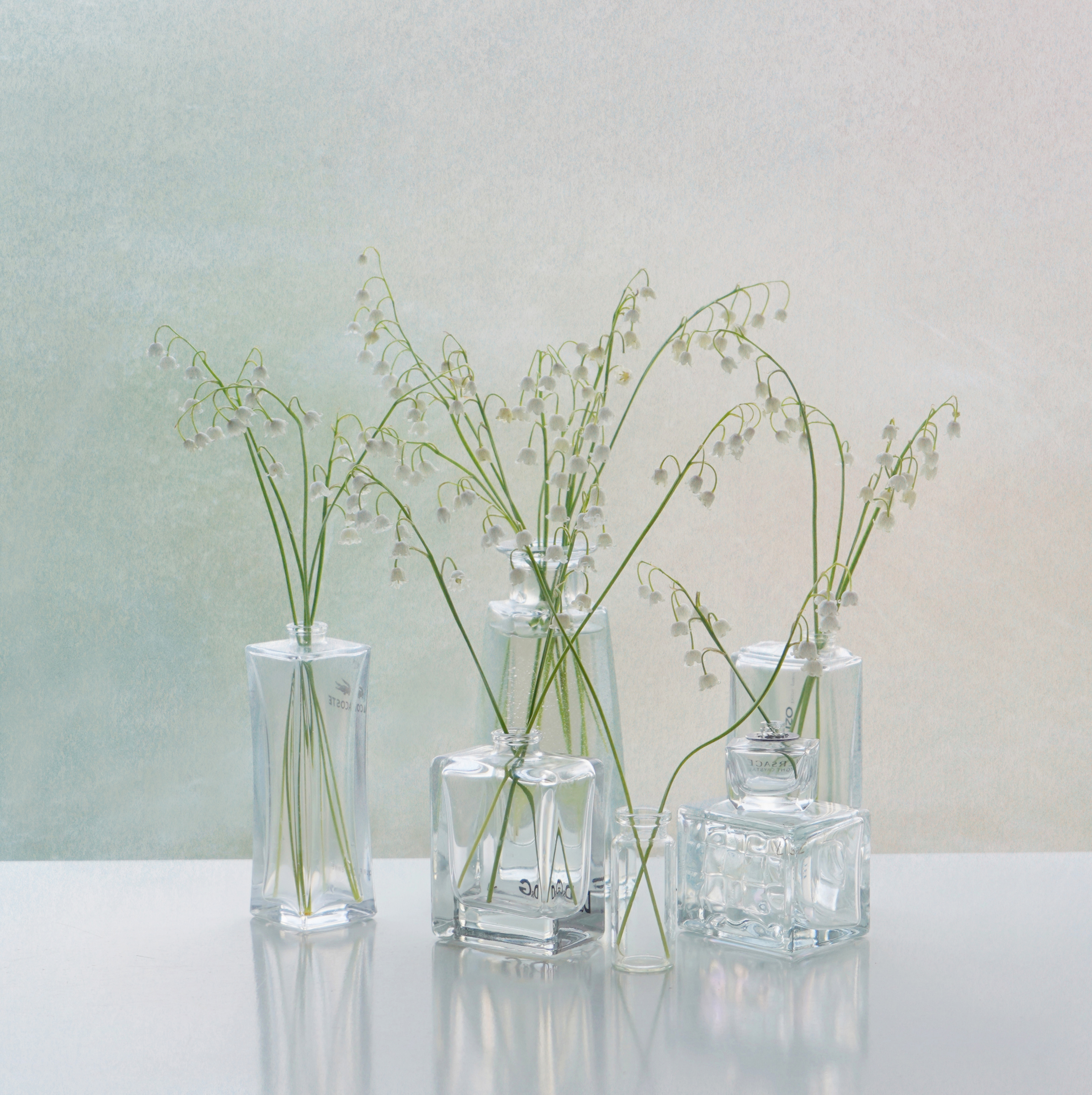 , Хохлова (Ермохина) Наталья