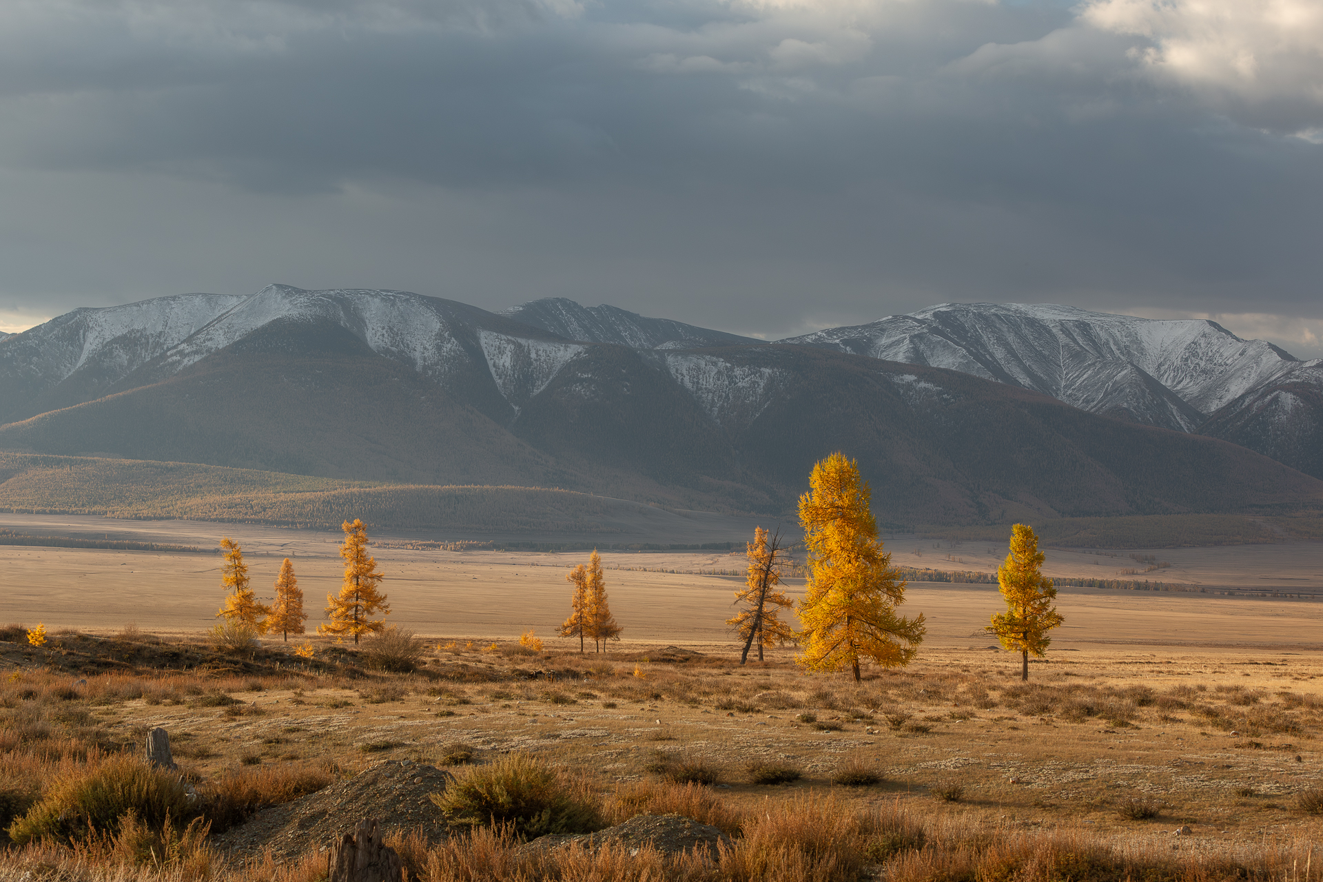, Константин Маланин