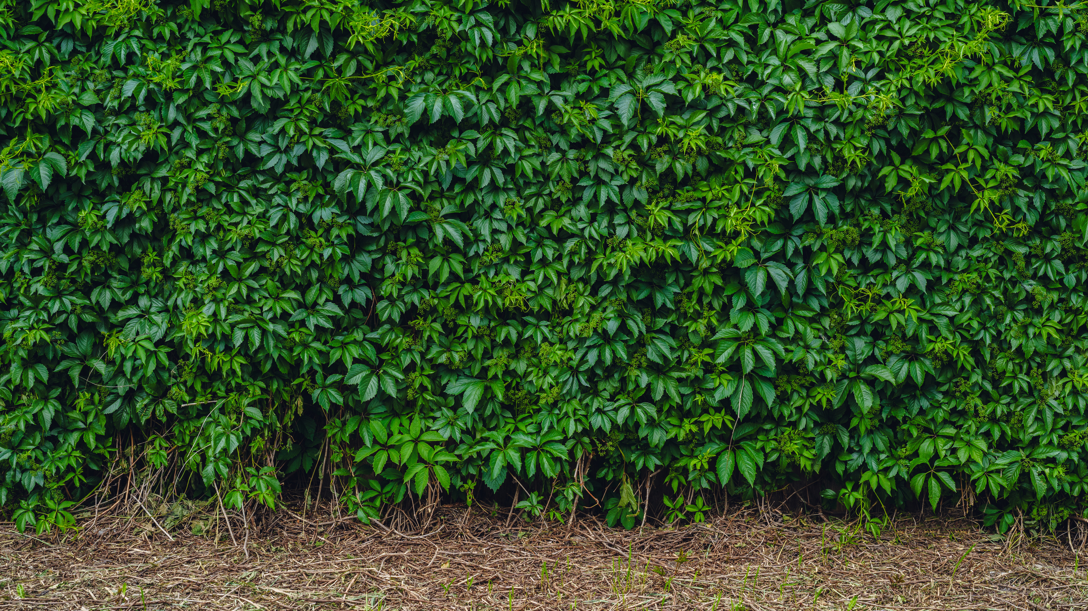 , Вертиков Юрий