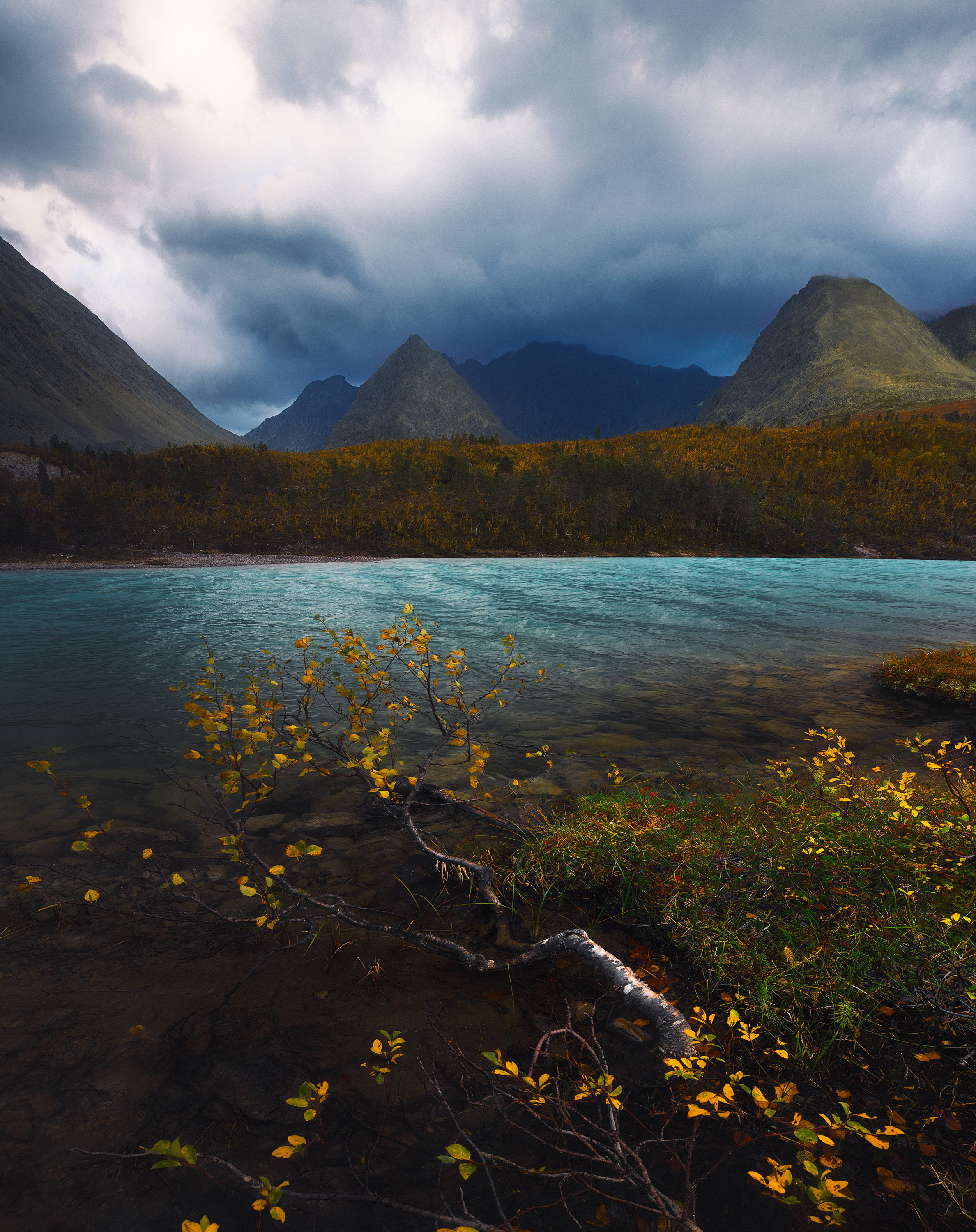 , Андрей Овдиенко