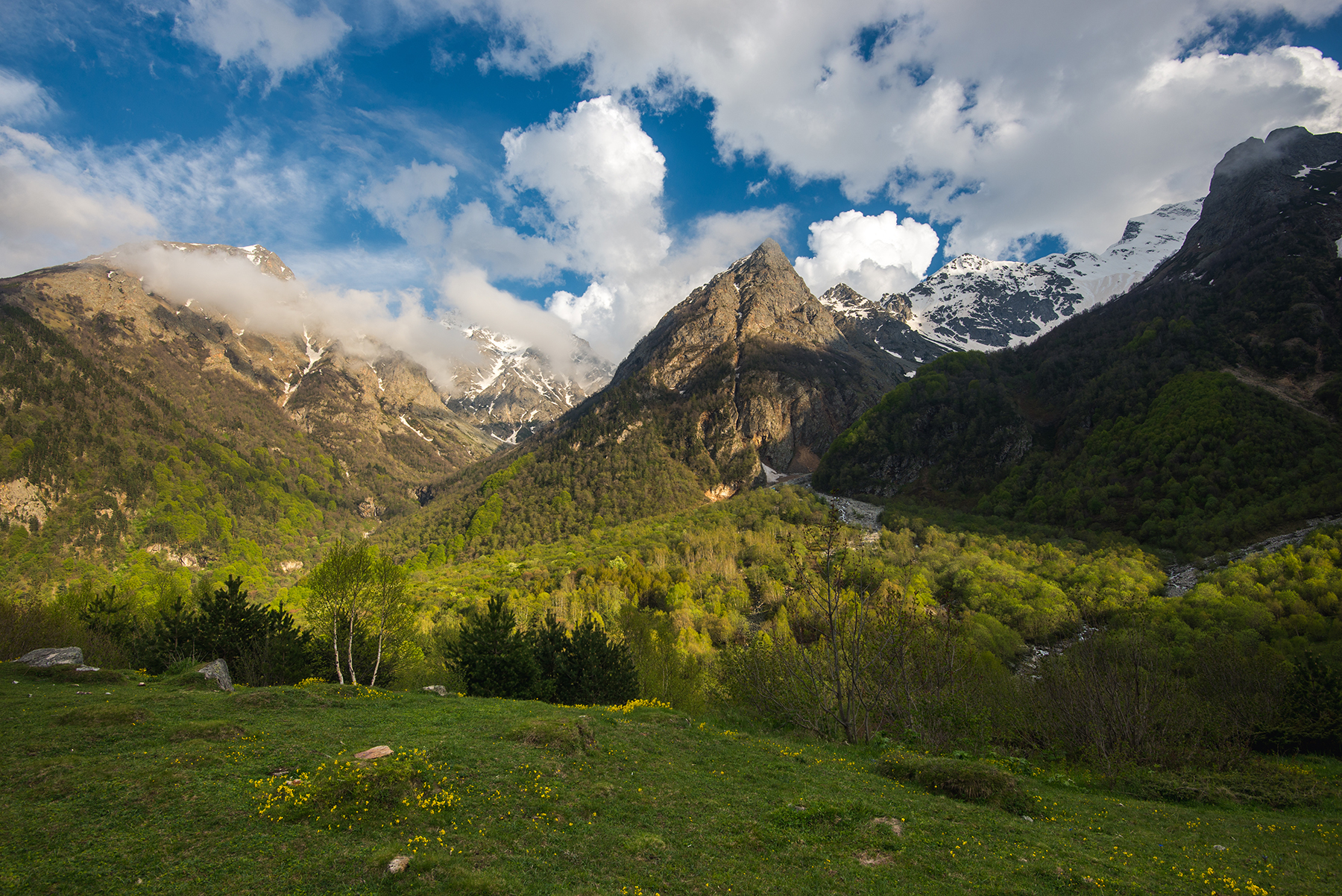 , Юрий Коваленко