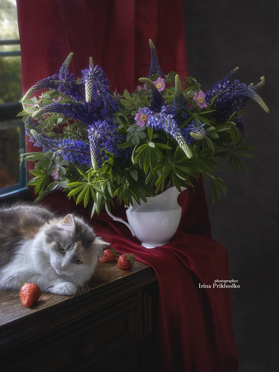 натюрморт, букет, лето, кошка, интерьер, Приходько Ирина