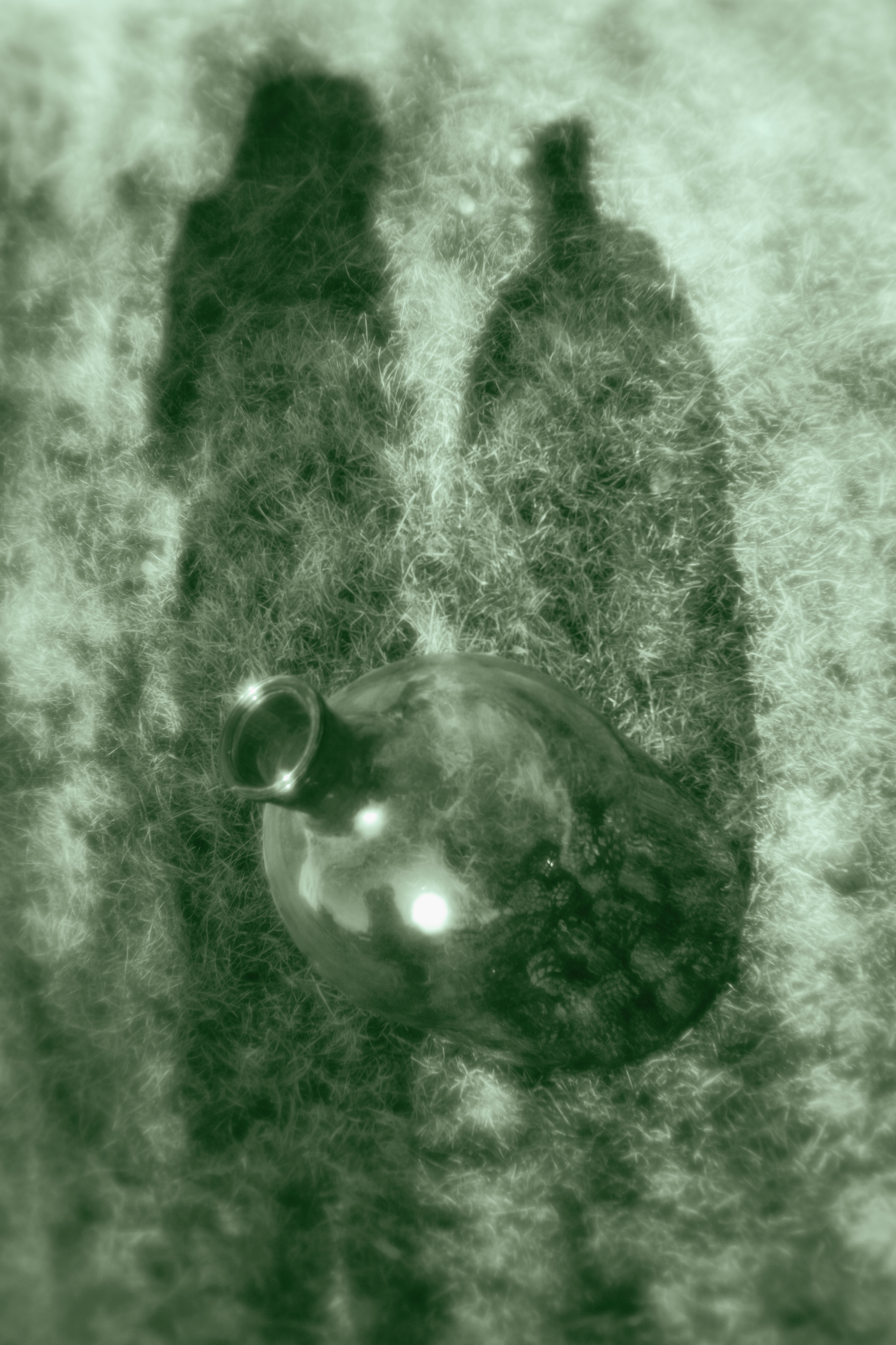 , Таня Смолевская