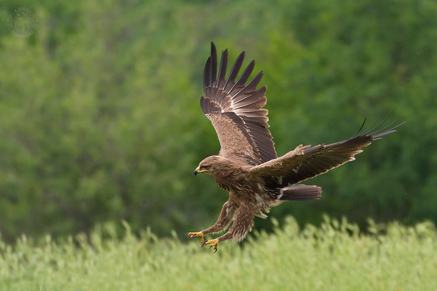 , Евгени Стефанов