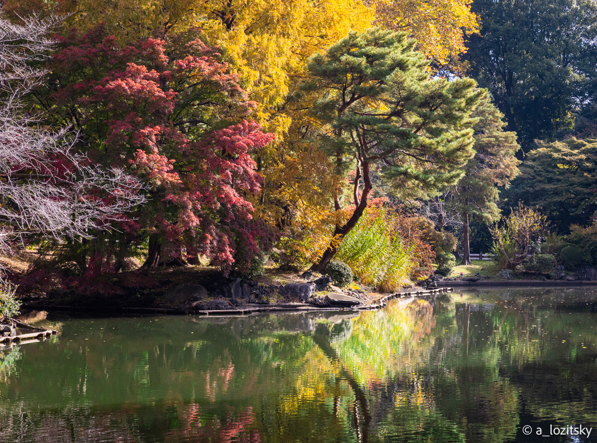 , Лозицкий Александр