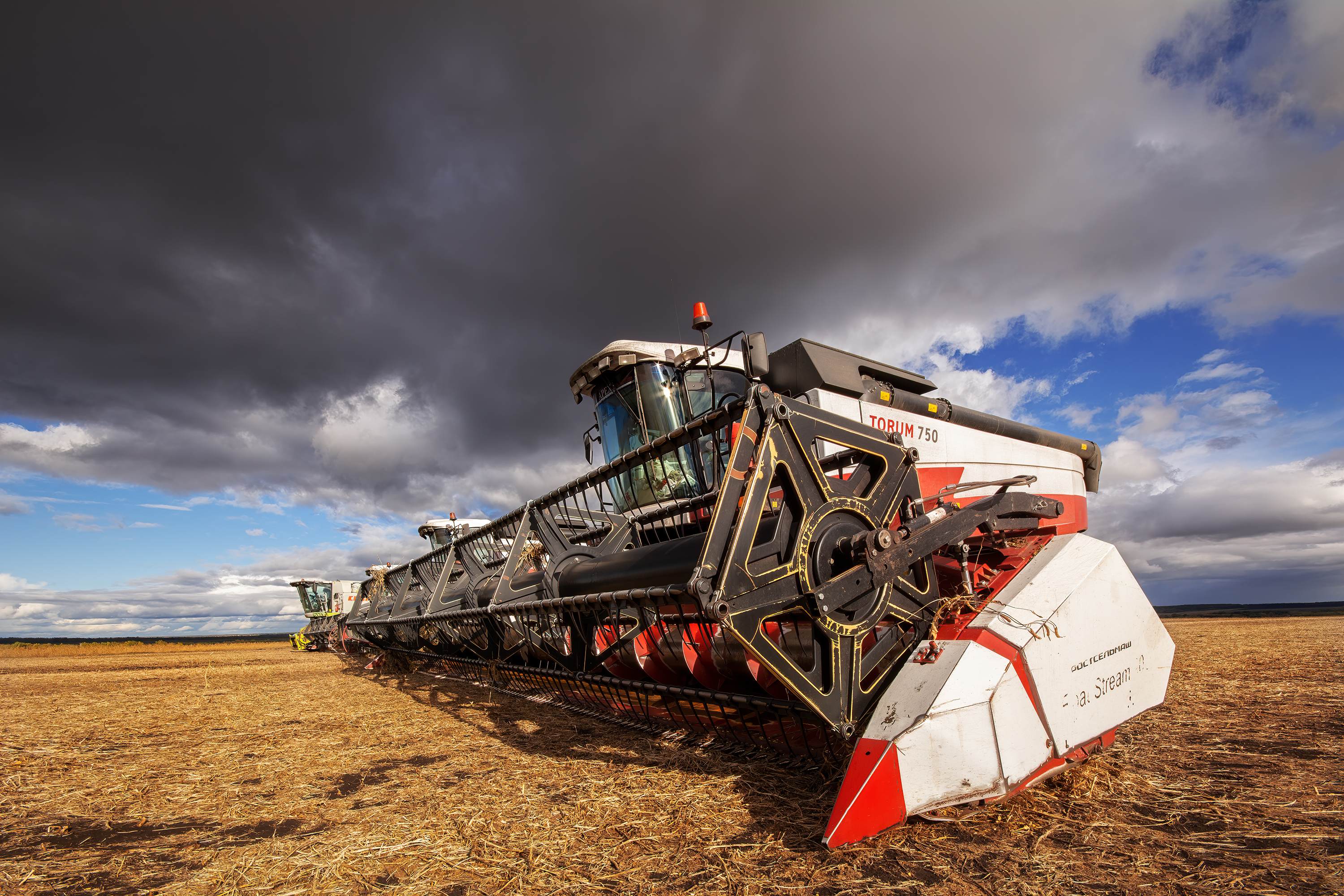 , Павел Абакумов