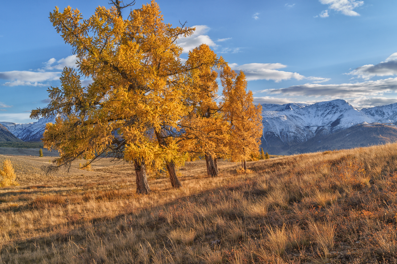 Россия, Алтай, пейзаж, природа, осень,горы, Лариса Дука
