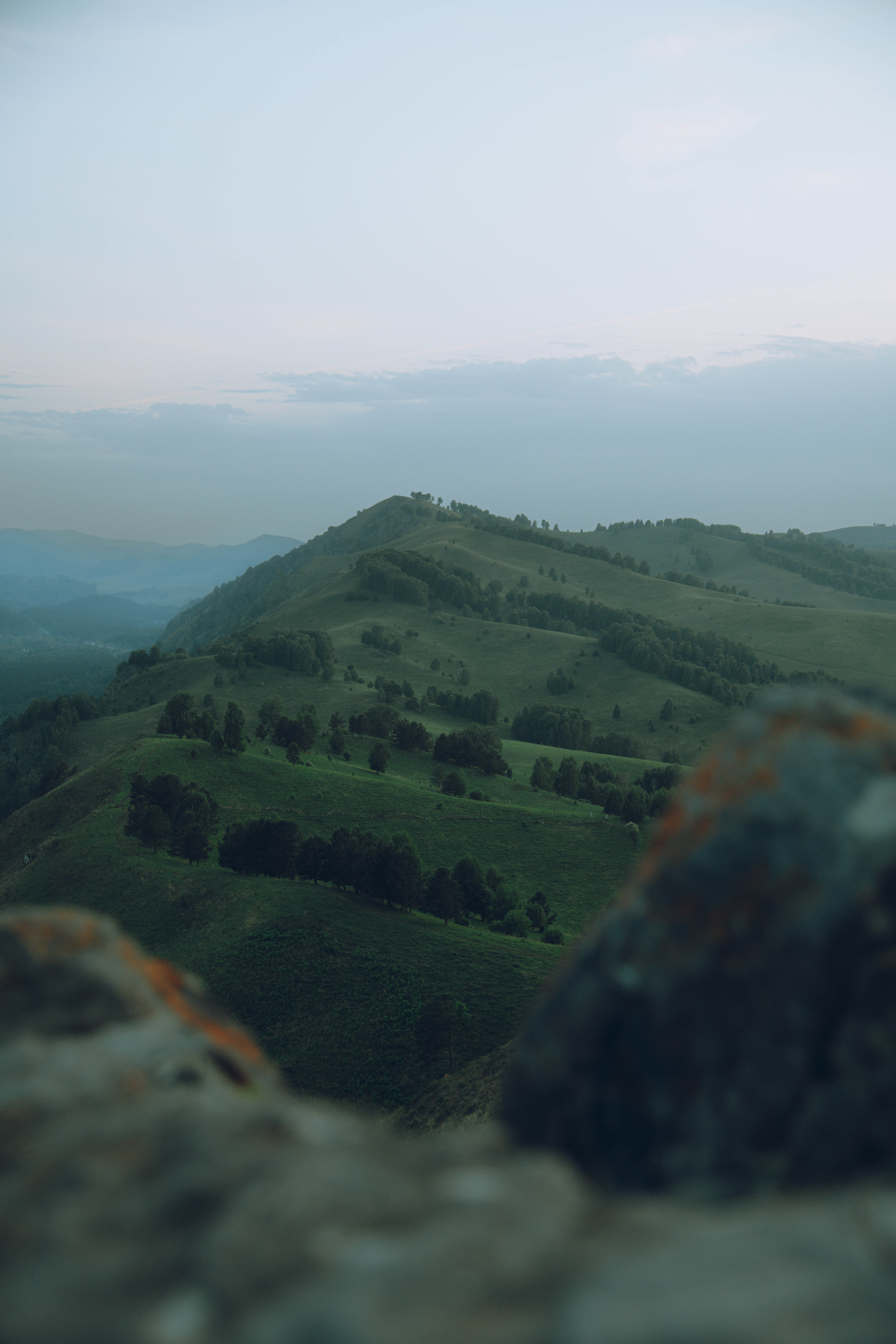 горы, Алтай, холмы, лес, Denis Koshkin