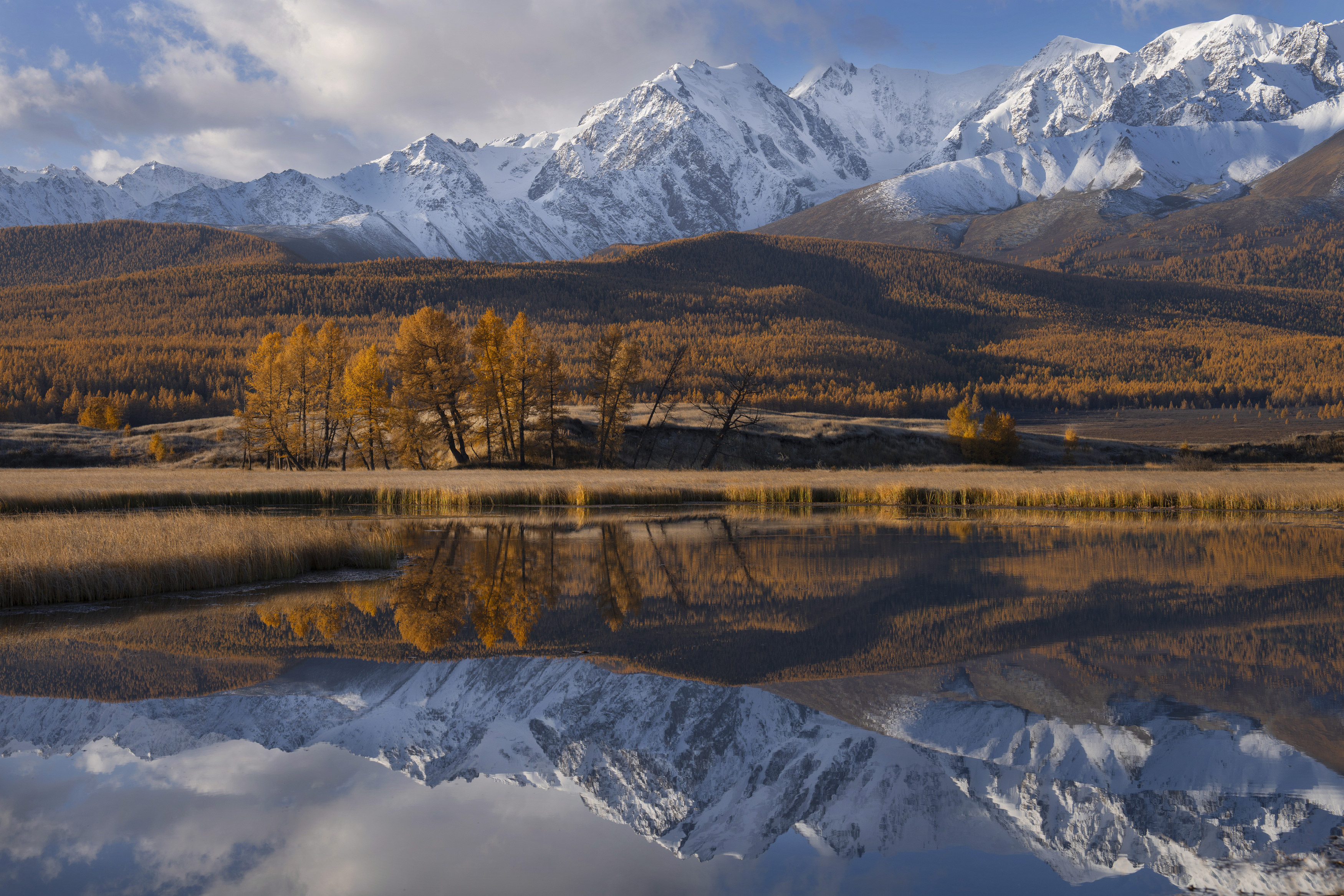 отражение, джангысколь, алтай, озеро, Дейнекина Галина