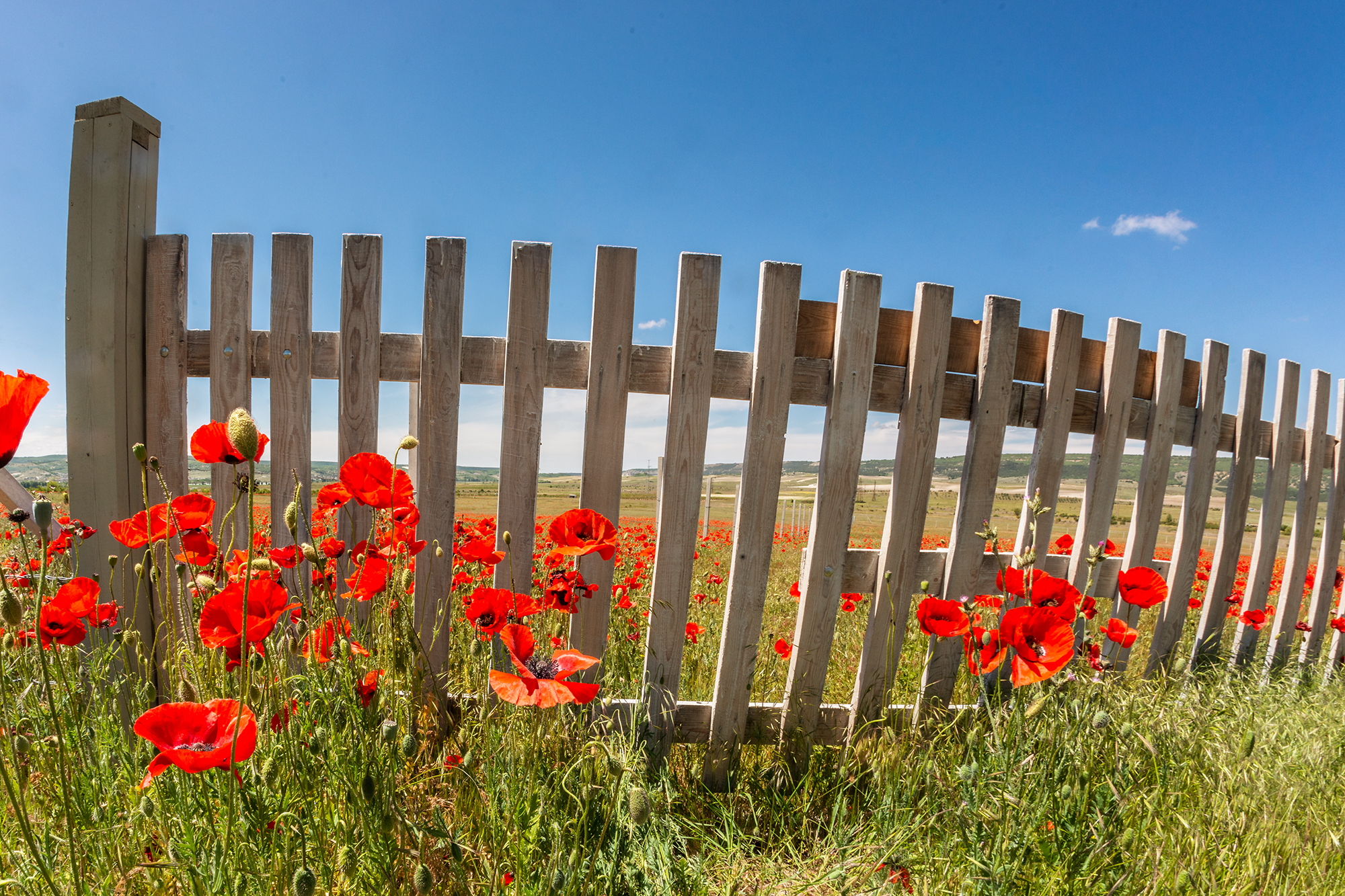 , Владимир Ноздрачев