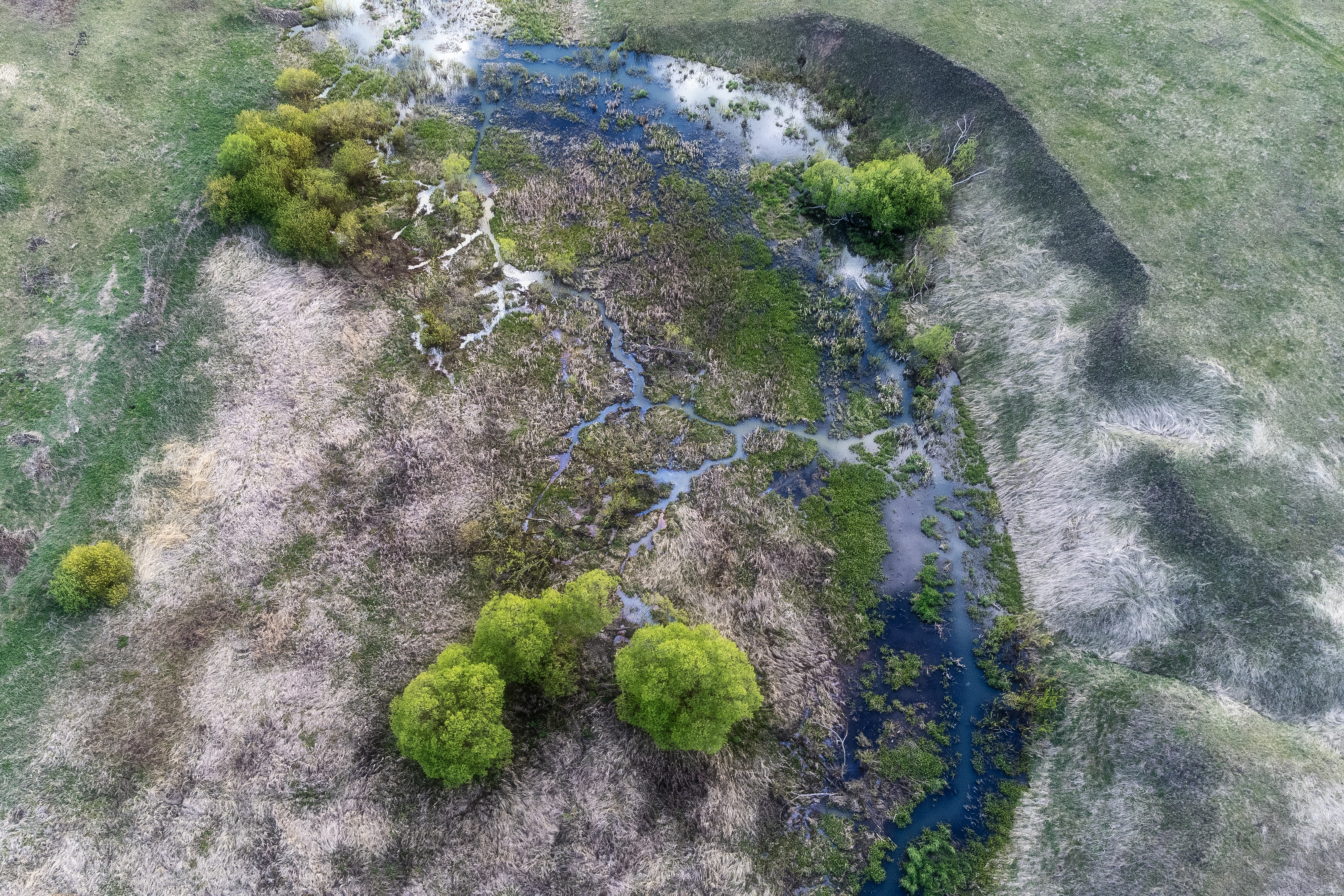 , Мартыненко Дмитрий