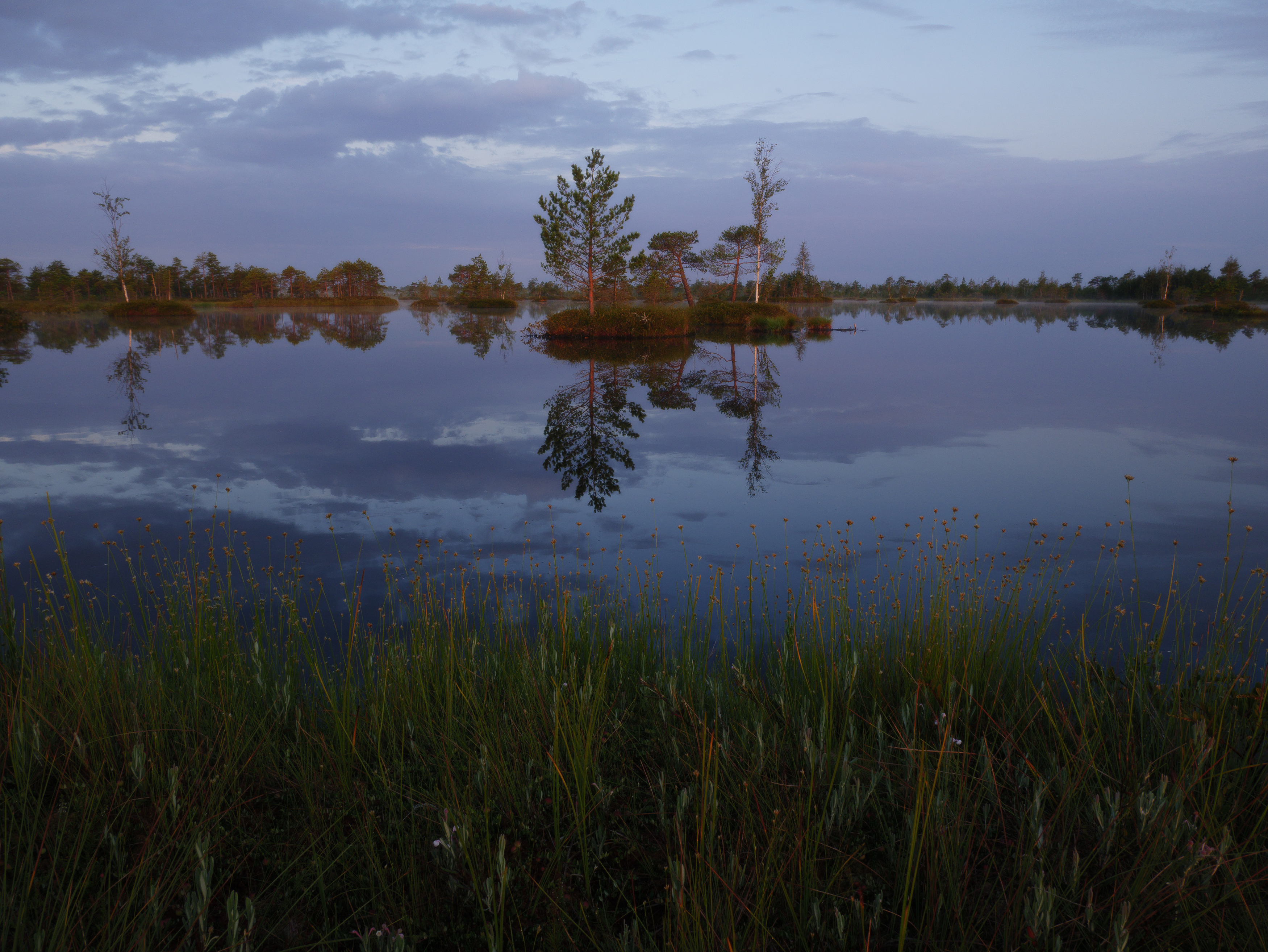 Пейзаж, Врубель Андрей