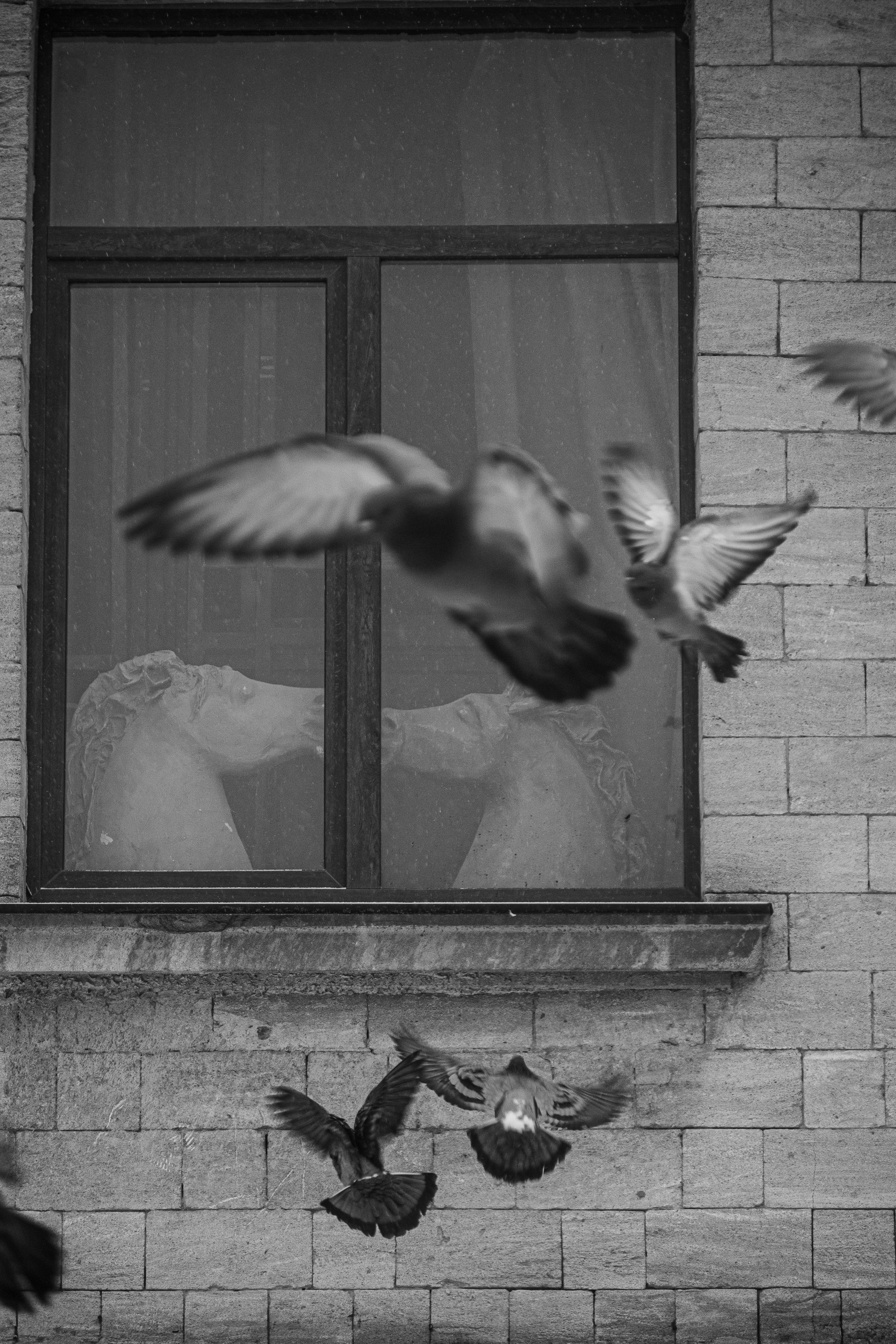 , Виталий Маслов