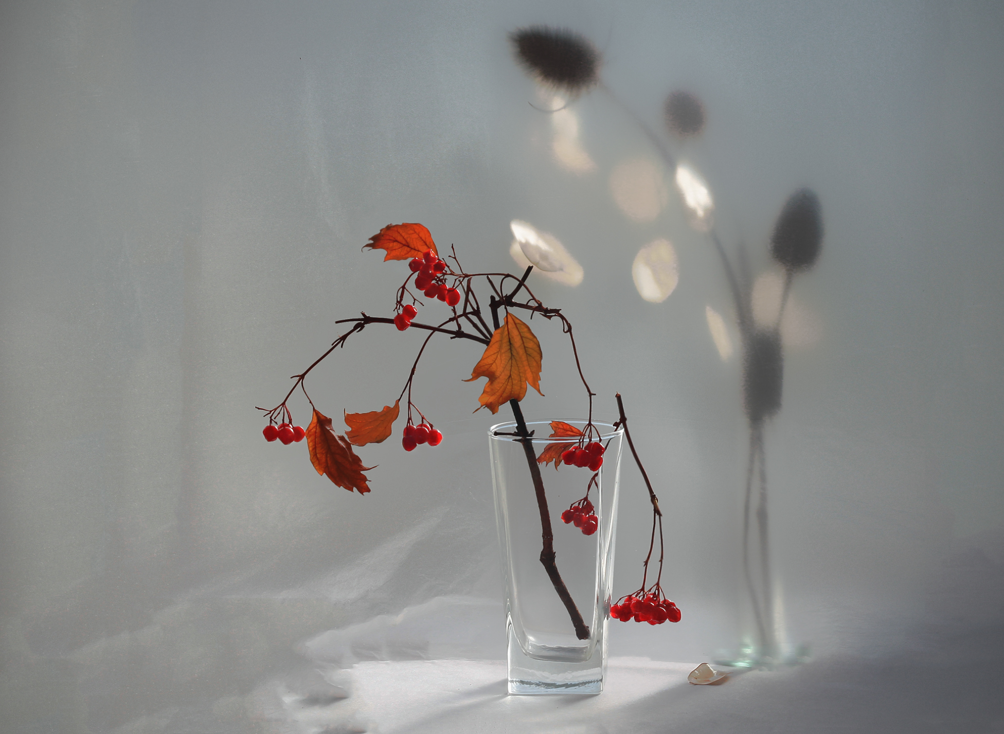 , Заболотская Ольга