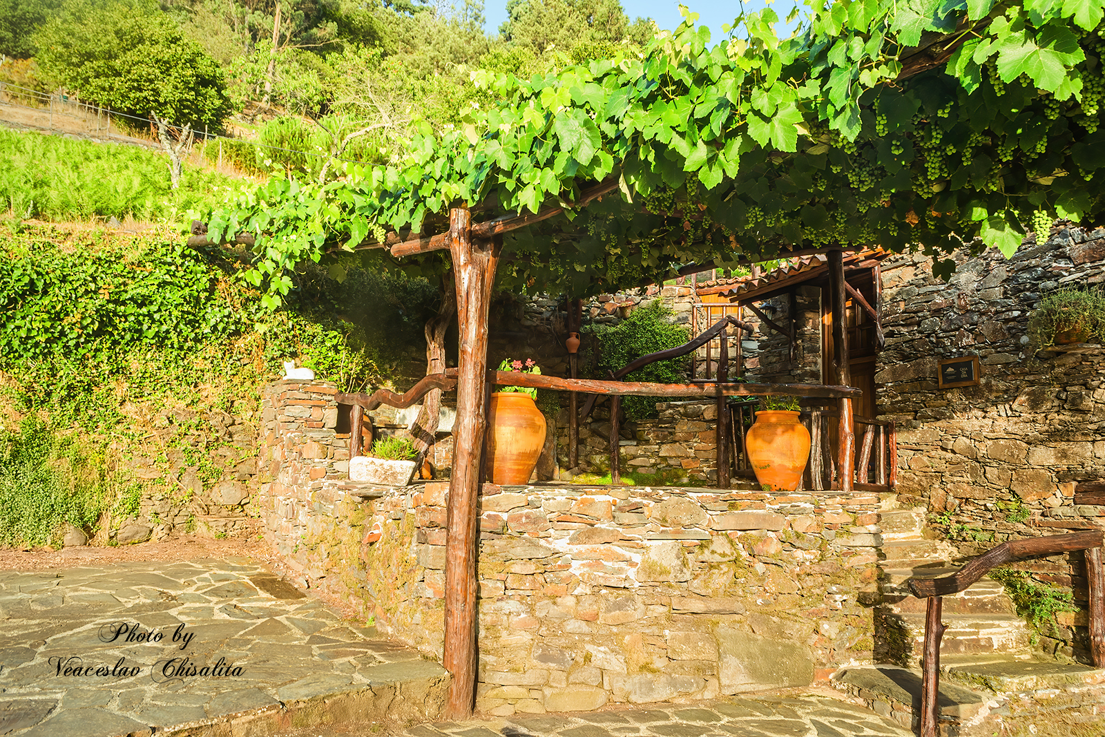 , Veaceslav Chisalita