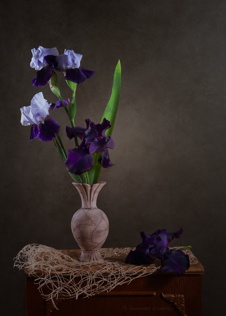 , Анжелика Королева