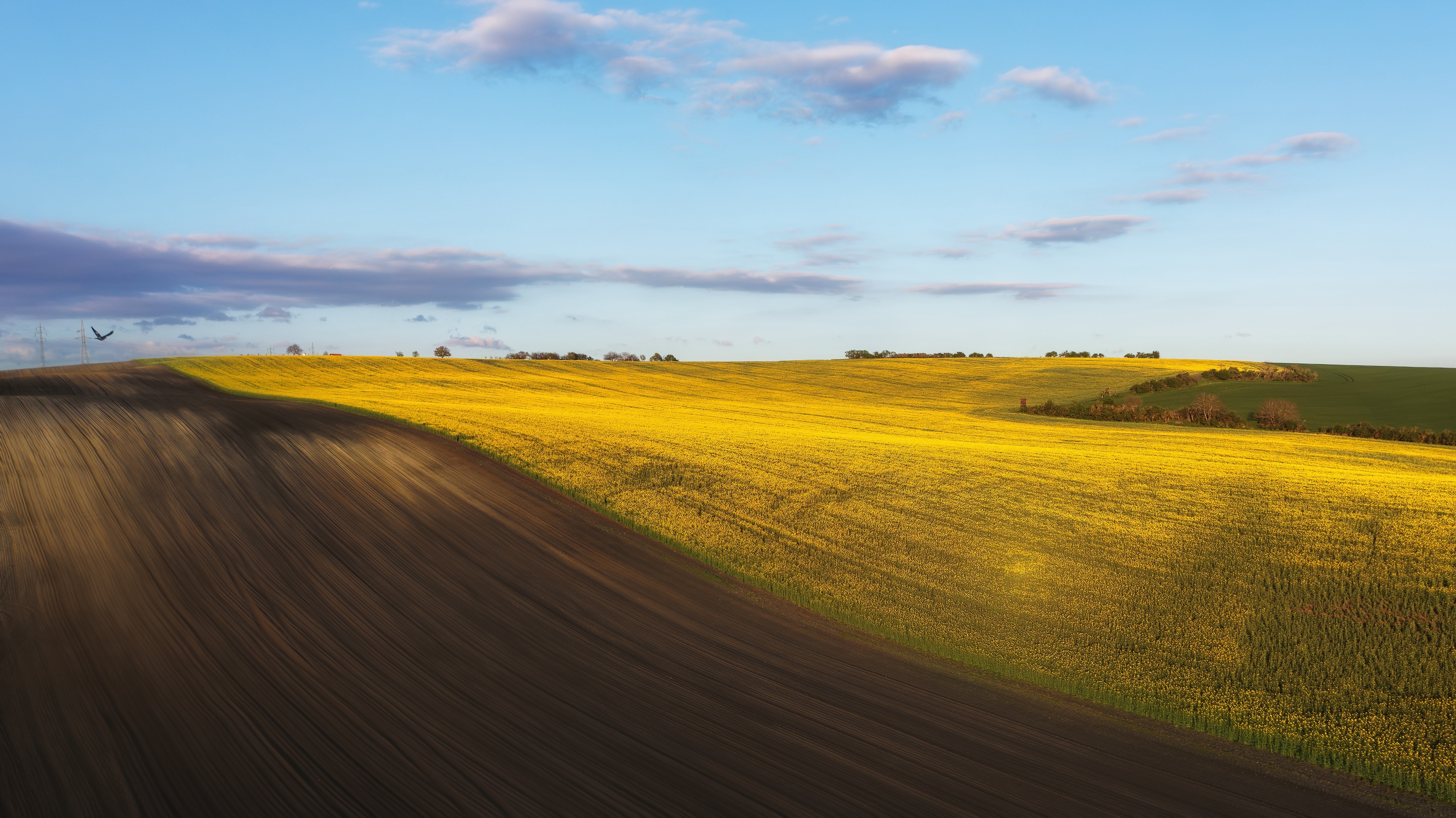 , Шимаковский Юрий