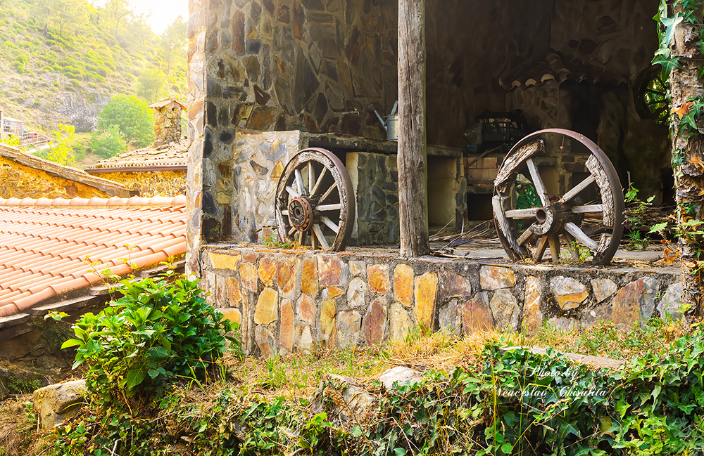 , Veaceslav Chisalita