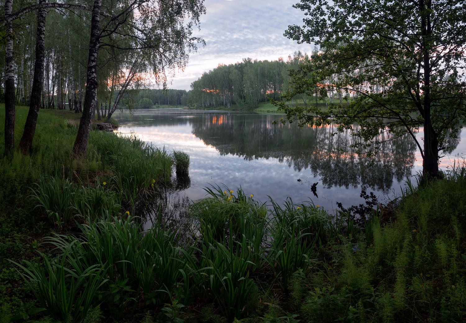 лес, свет, утро, природа, Баранов Олег