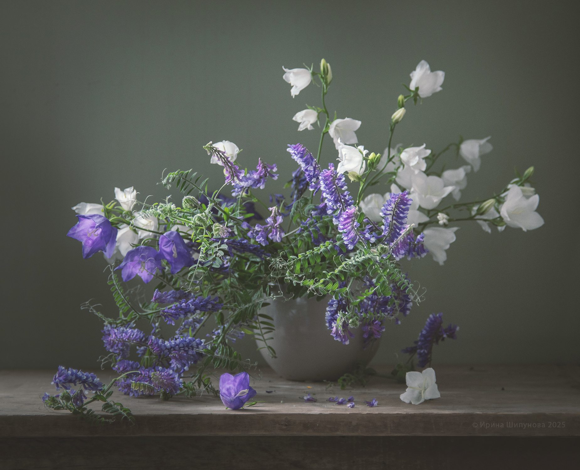 , Шипунова Ирина