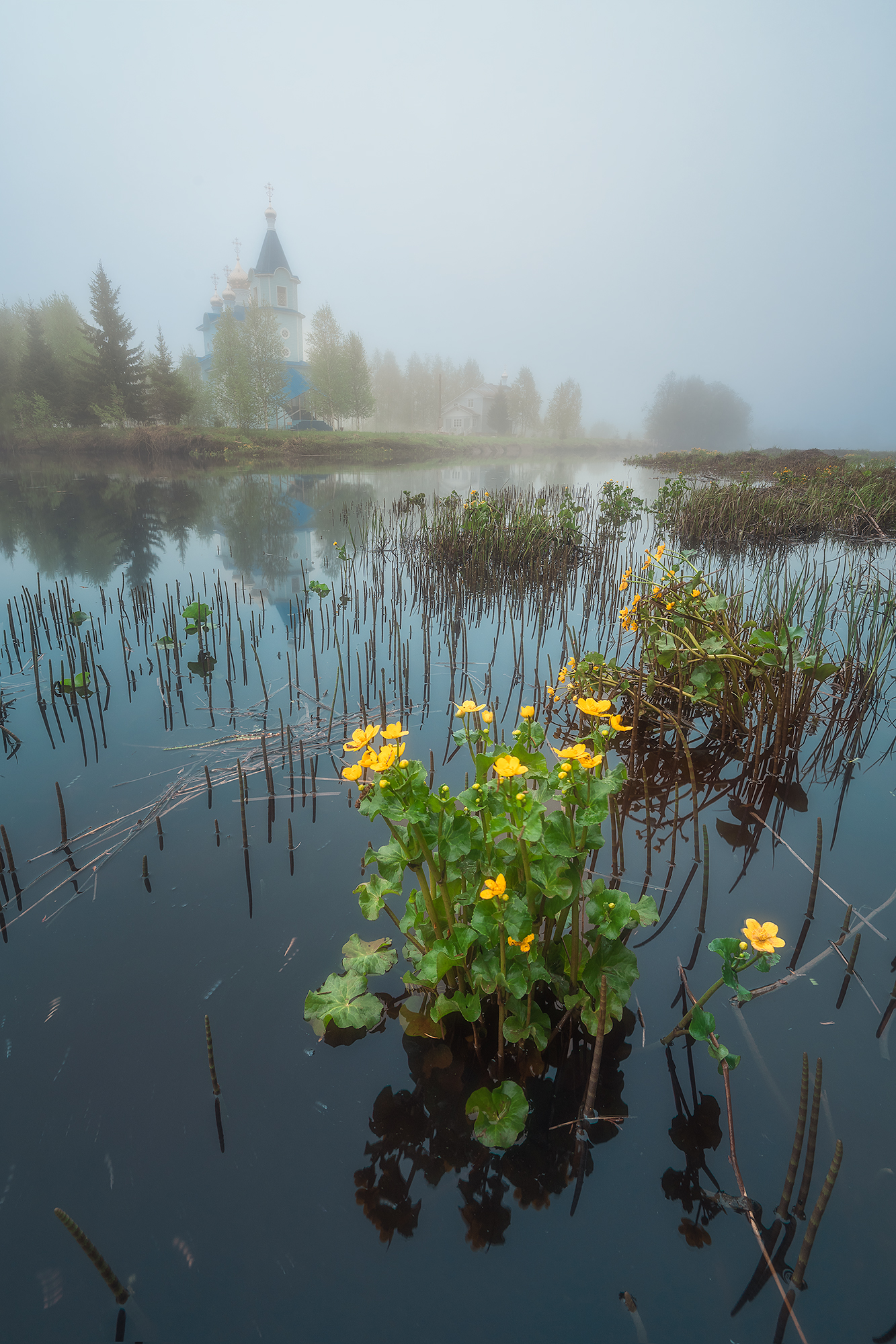 , Александр Ермолин