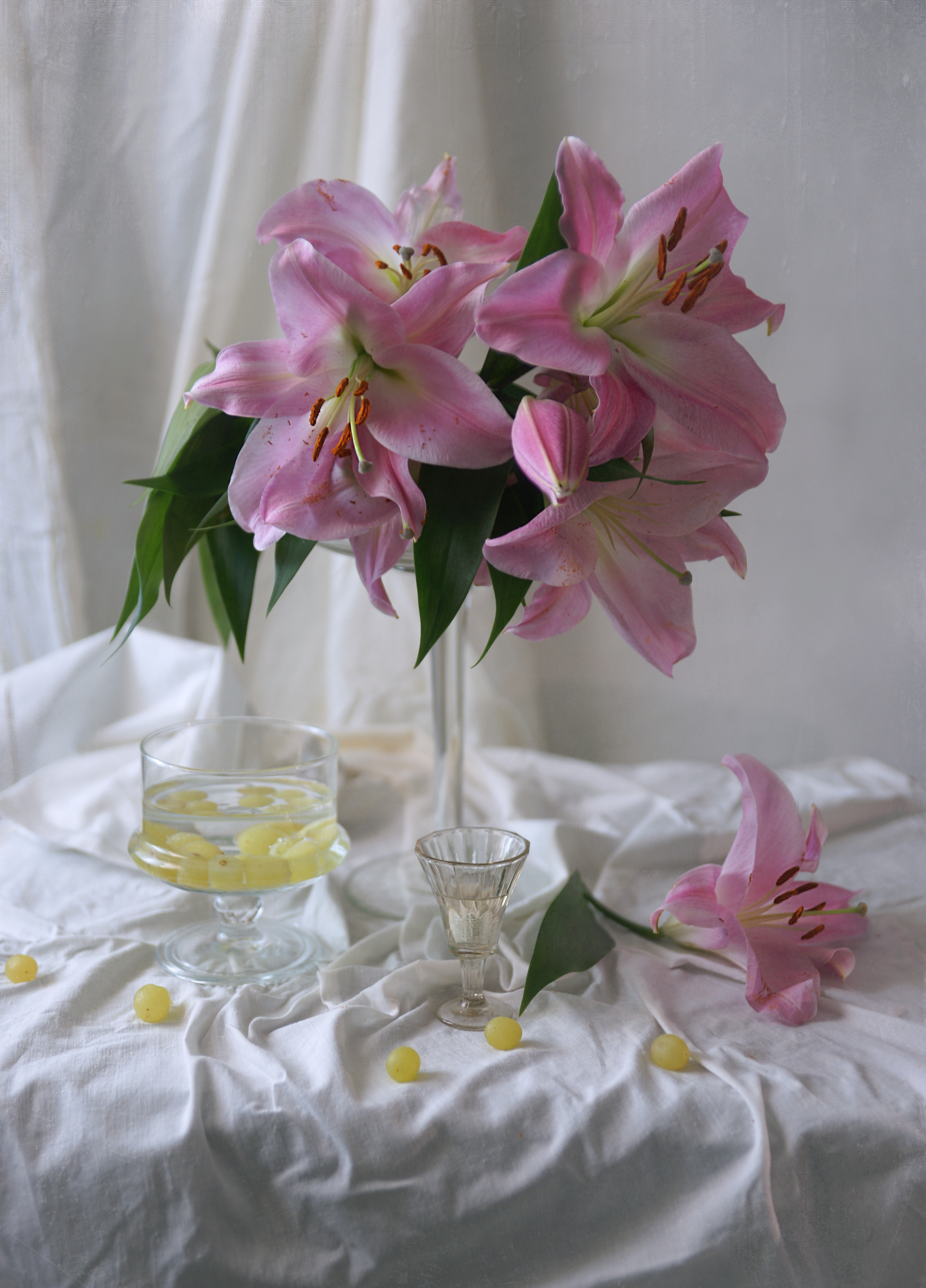 , Сушкевич Светлана