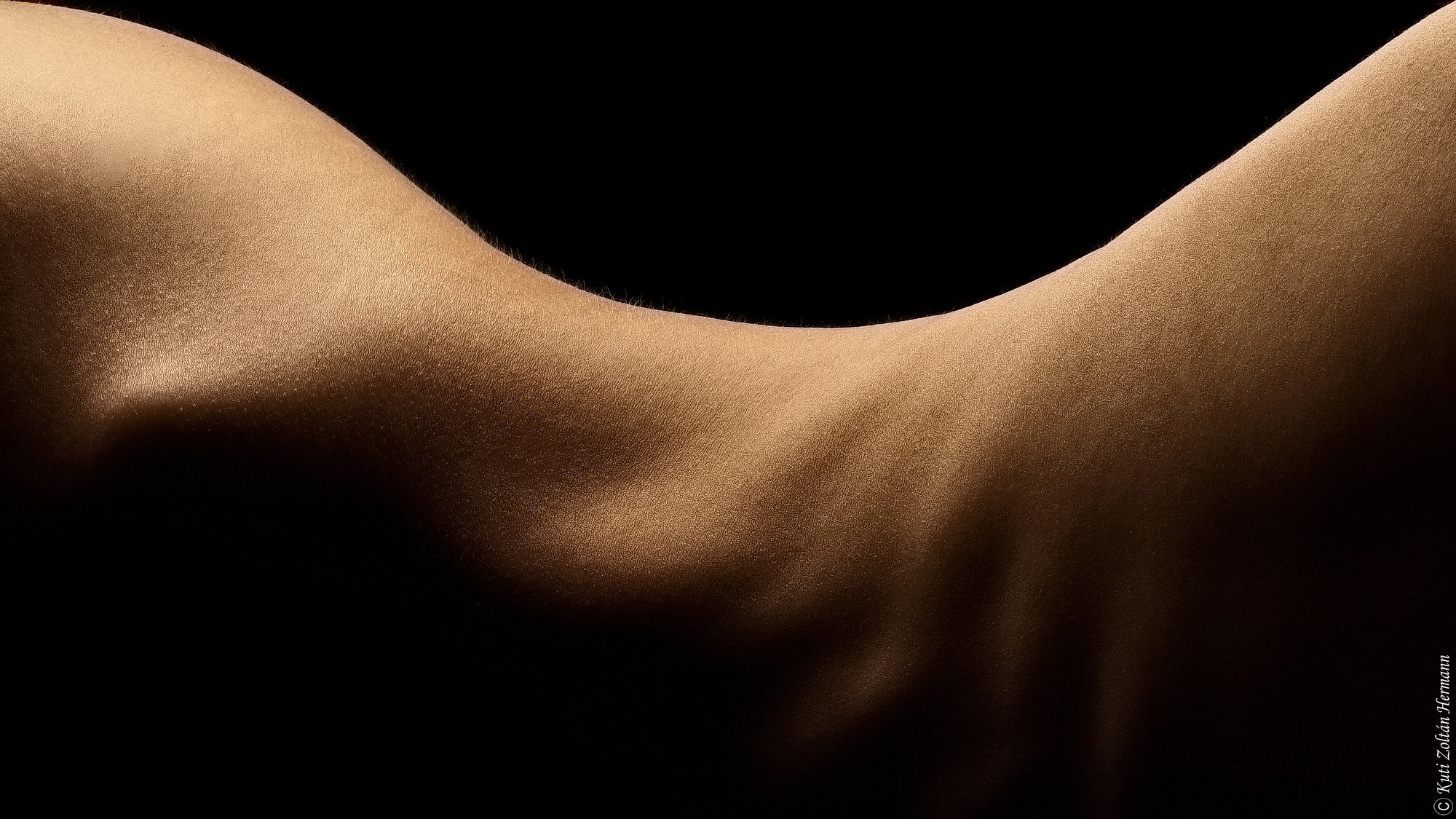 , Zoltan Hermann Kuti