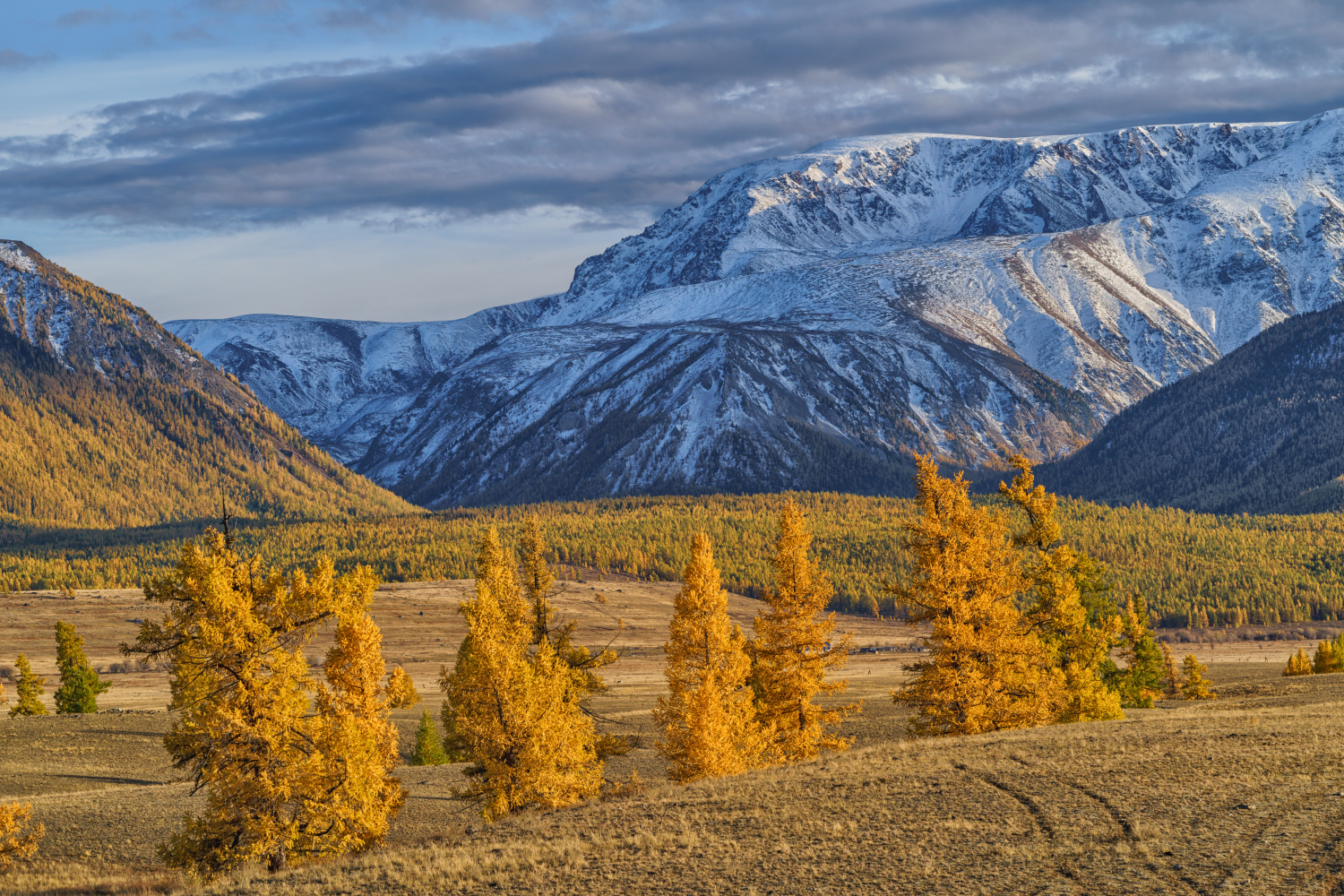 Россия, Алтай,осень, горы,пейзаж, природа, Лариса Дука