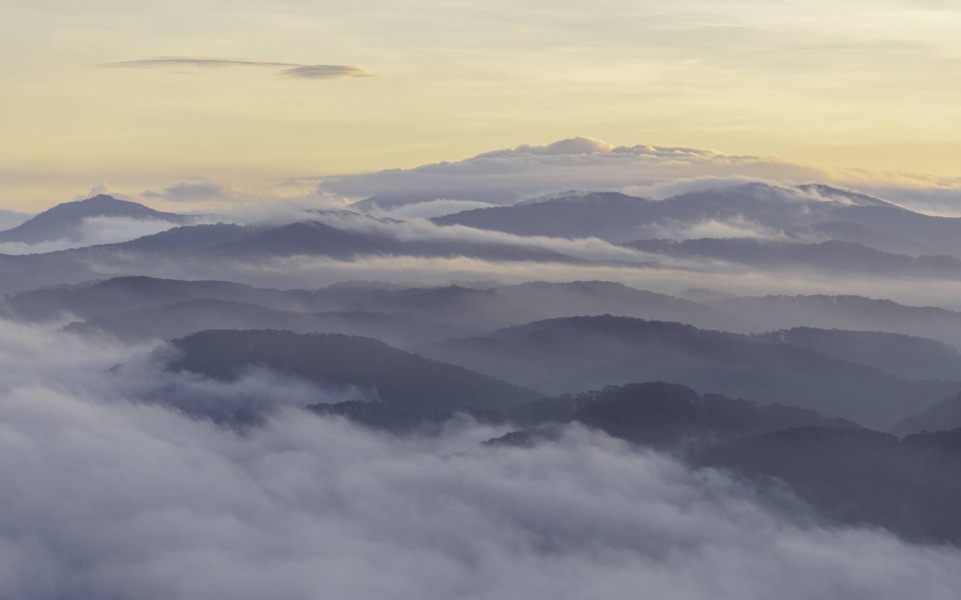 landscape; cloud; hill; moutain; pine; dawn, Do Trung
