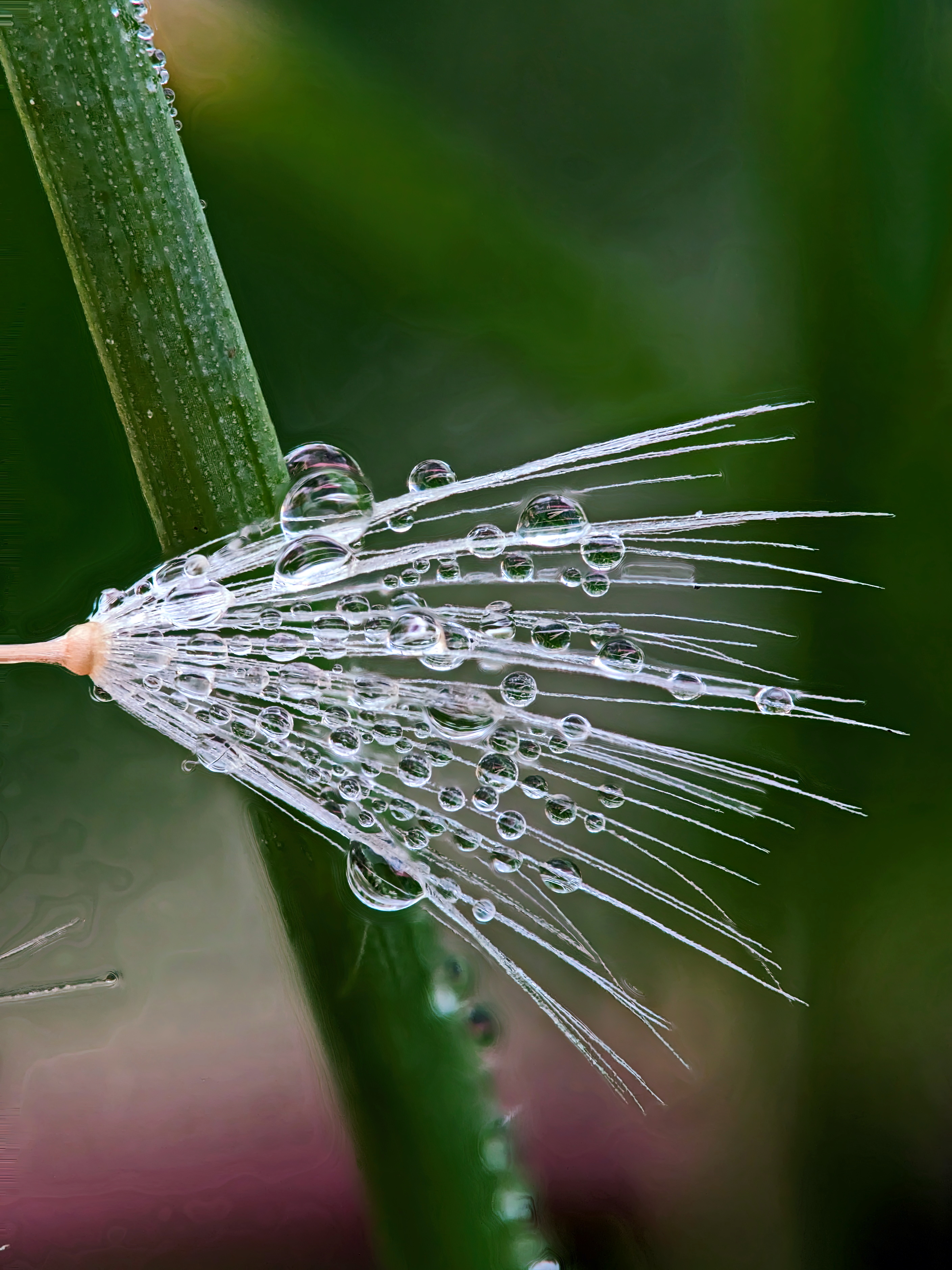 , Кузнецов Дмитрий