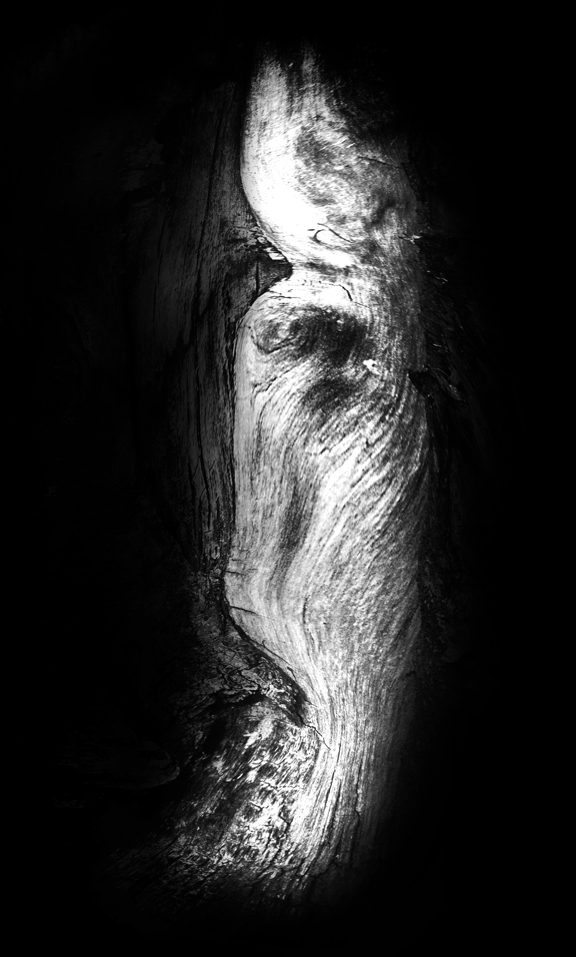 , Борис Кравецкий