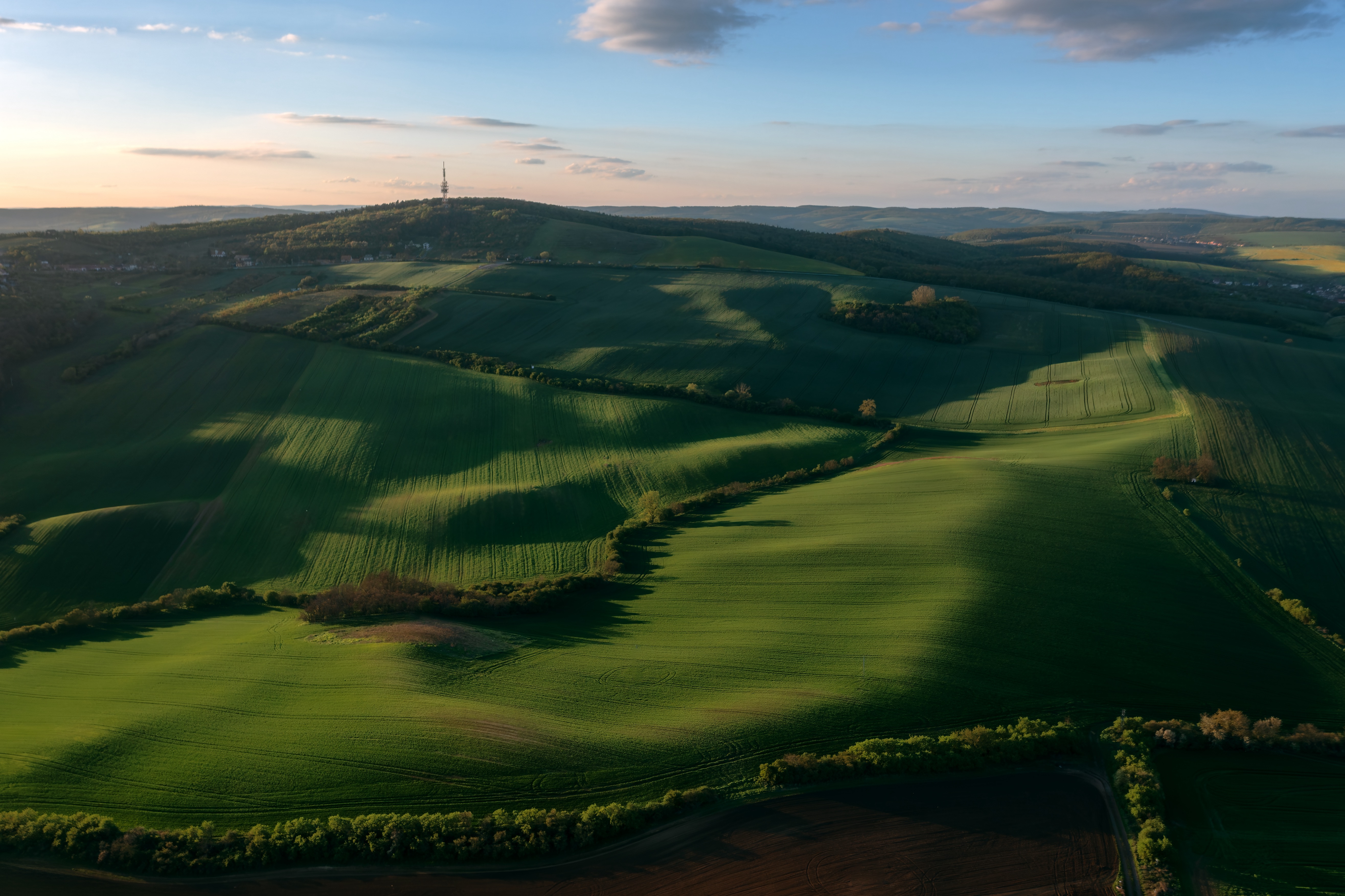 , Шимаковский Юрий