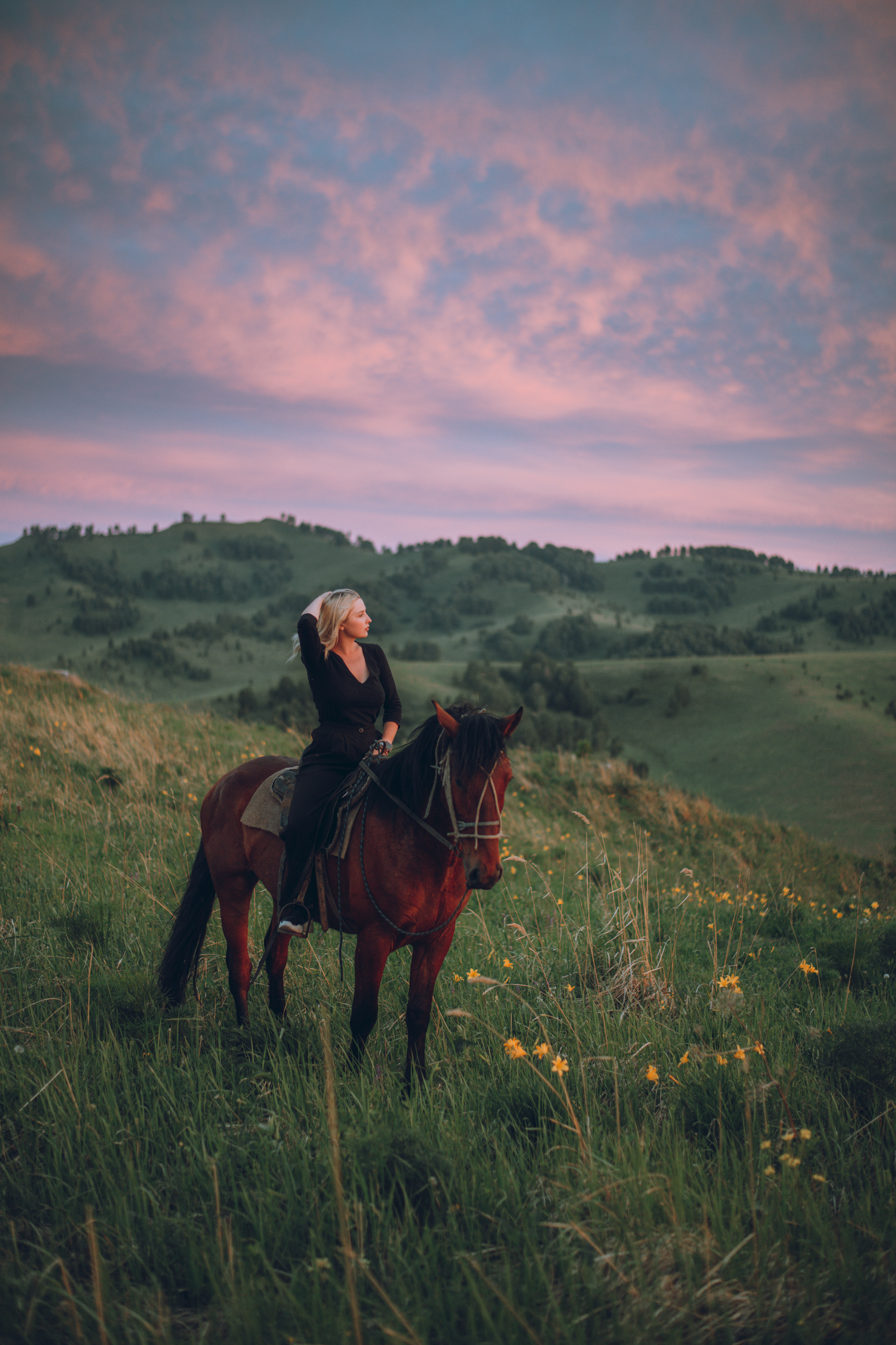 Алтай, горы, холмы, лошадь, портрет, Denis Koshkin