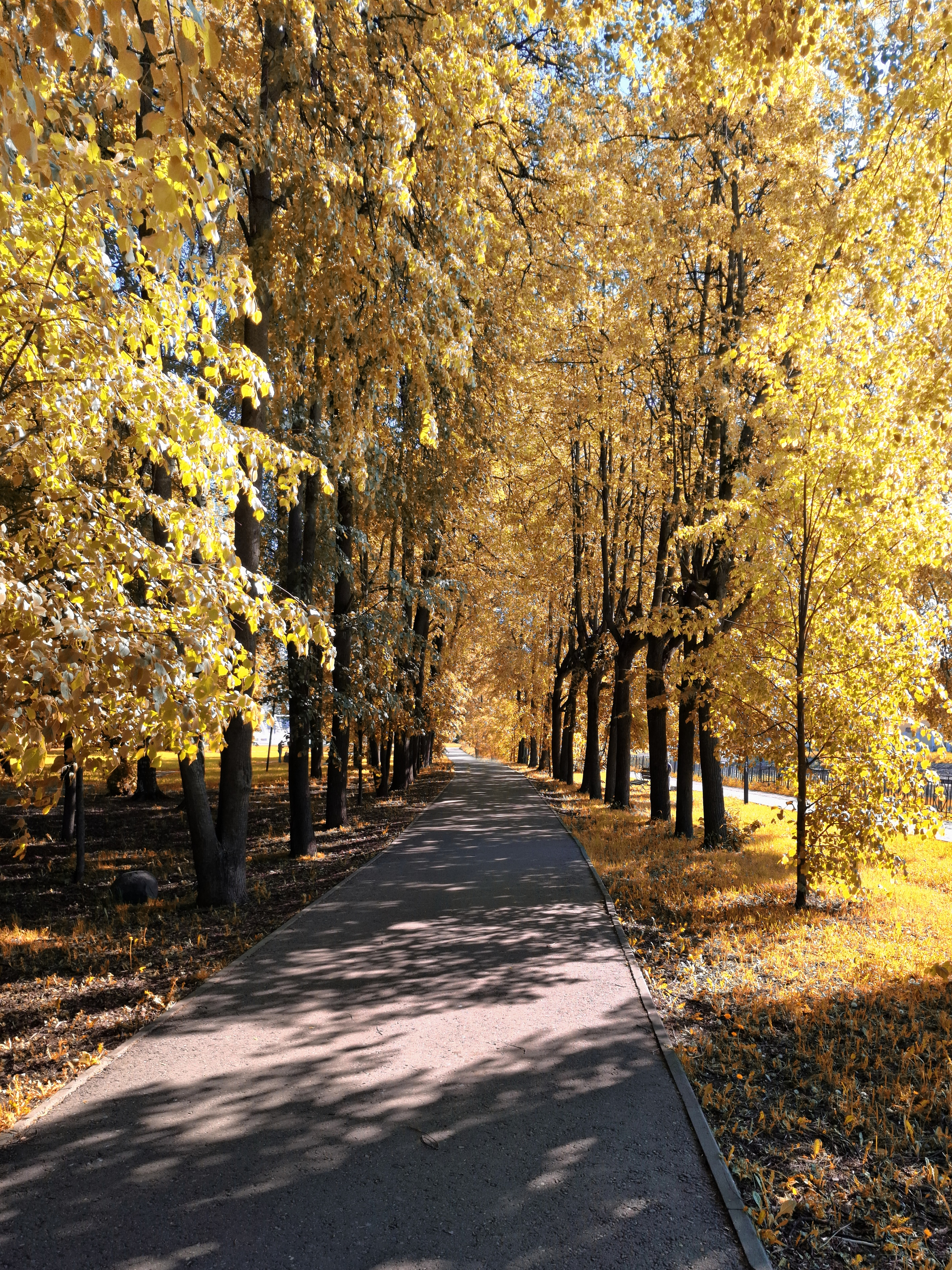 , Сергей Клапишевский