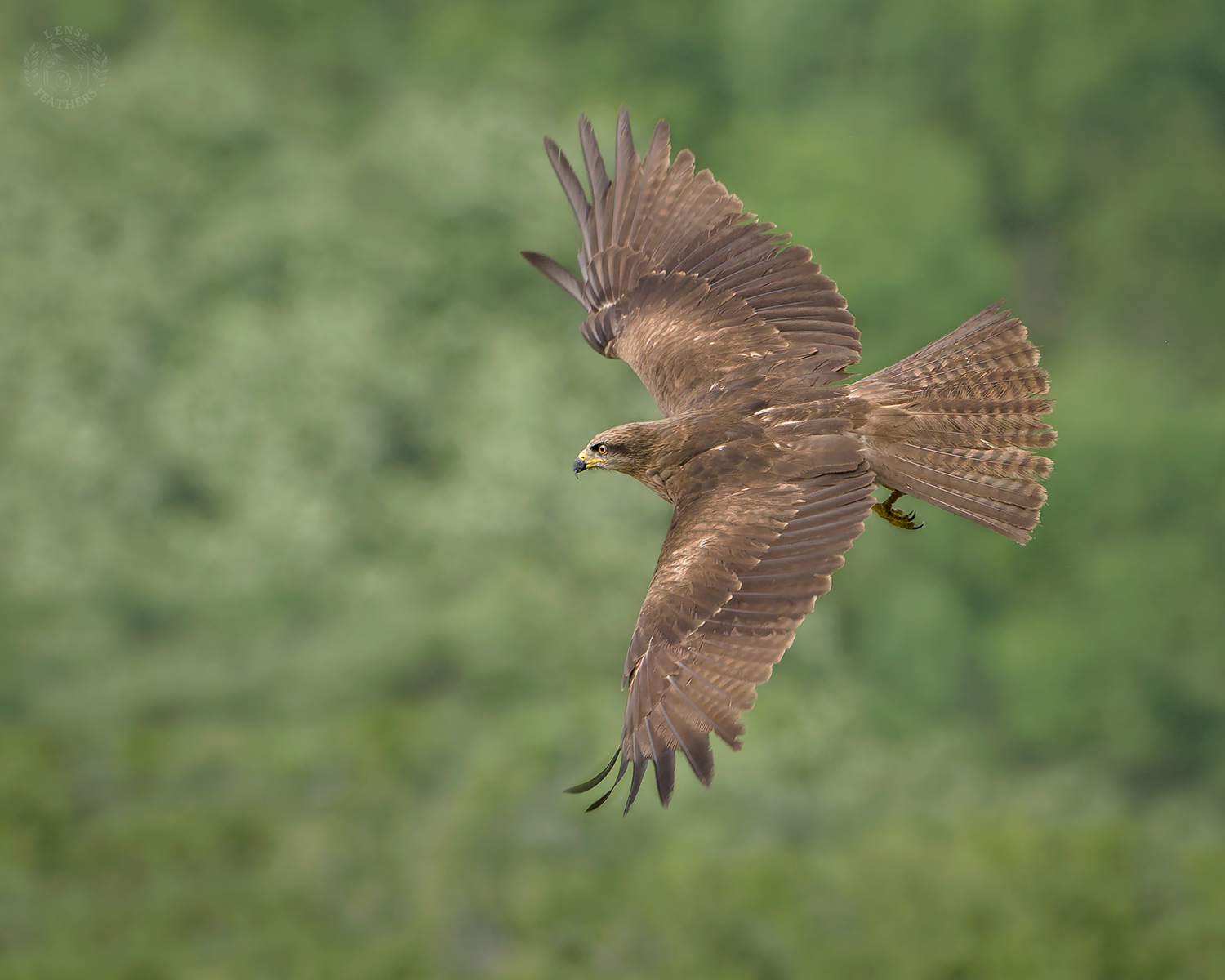 , Евгени Стефанов